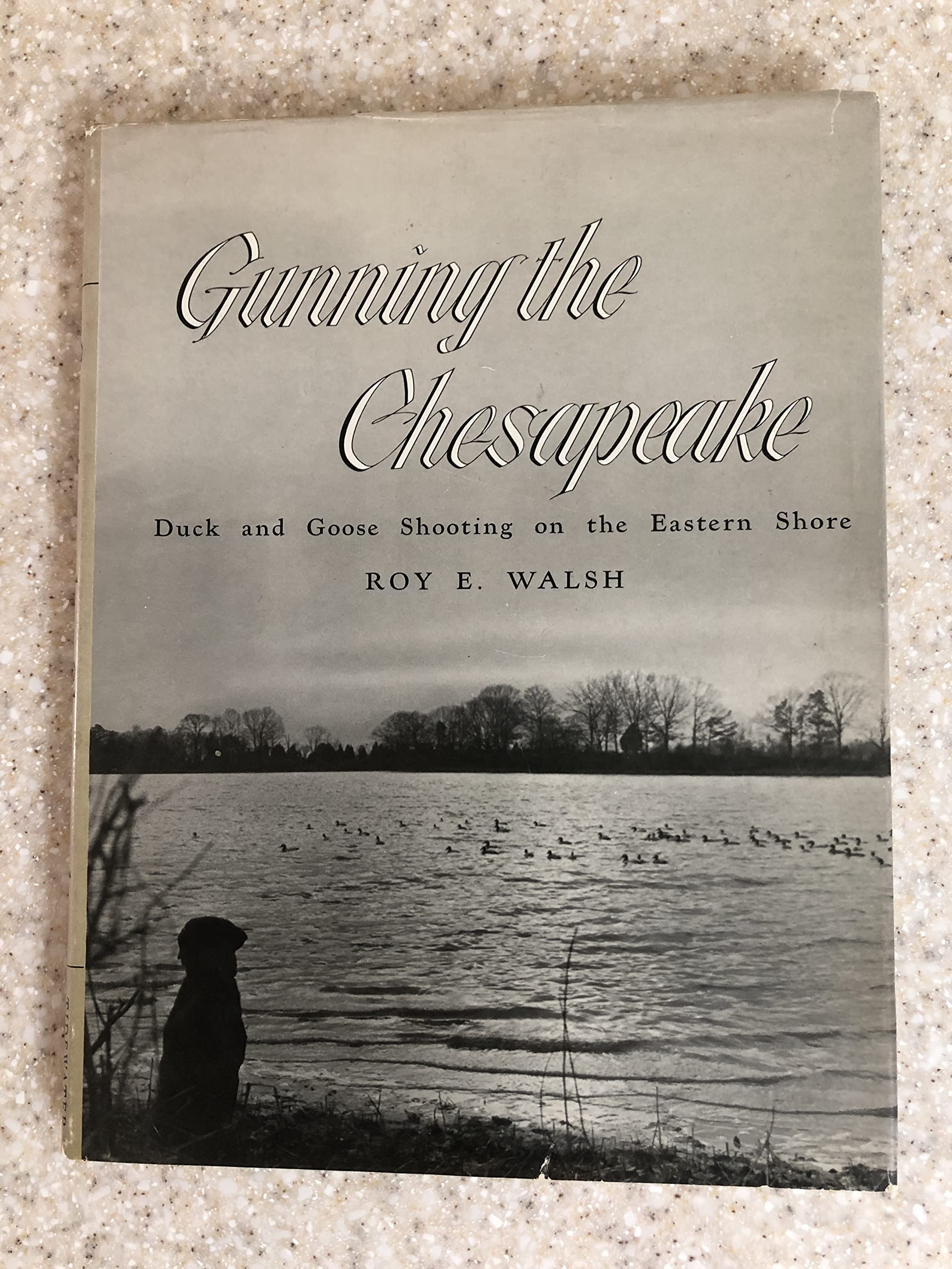 Gunning the Chesapeake: Duck and Goose Shooting on the Eastern Shore,Used