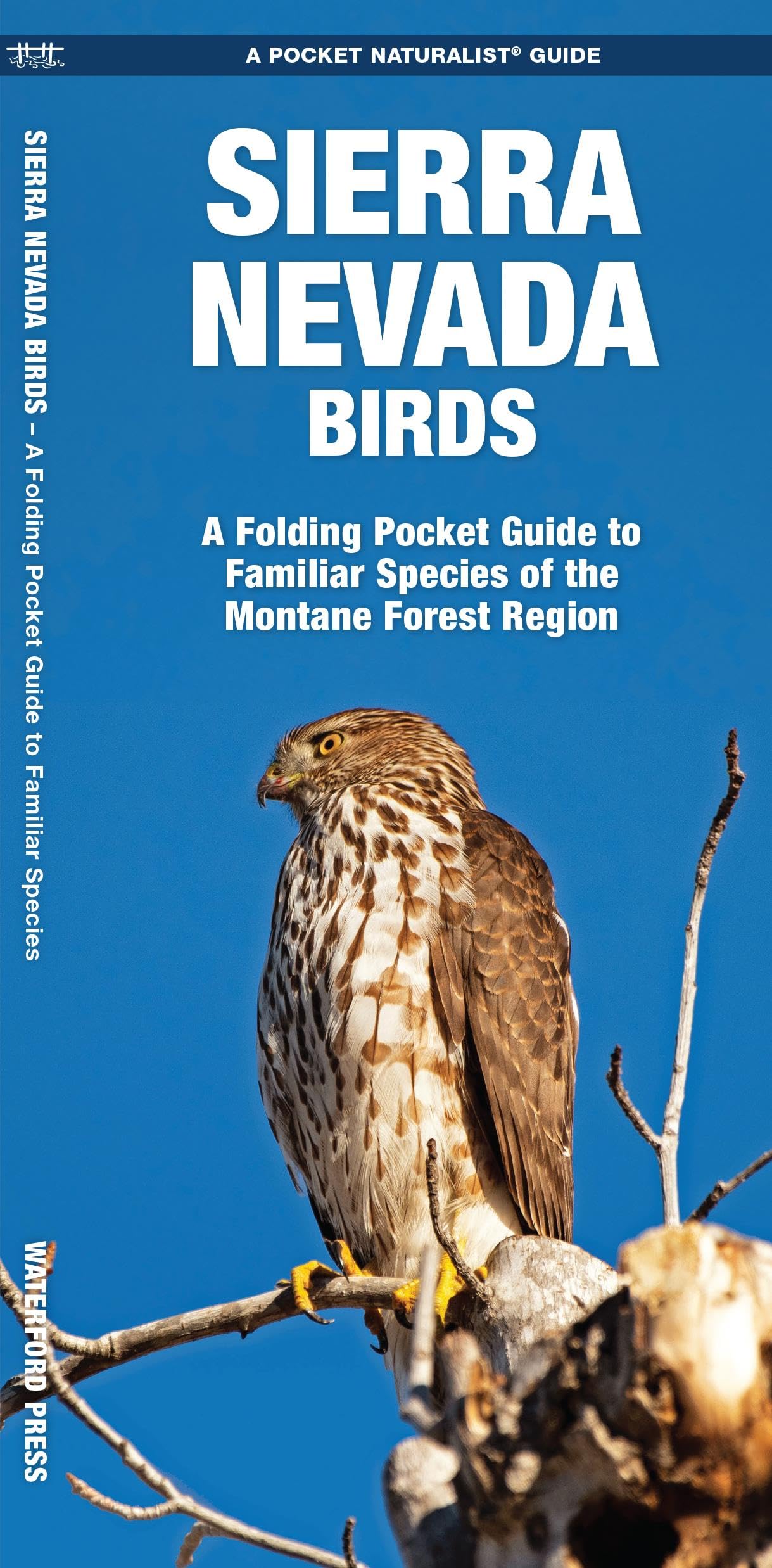 Sierra Nevada Birds: A Folding Pocket Guide To Familiar Species Of The Montane Forest Region (Wildlife And Nature Identification,Used