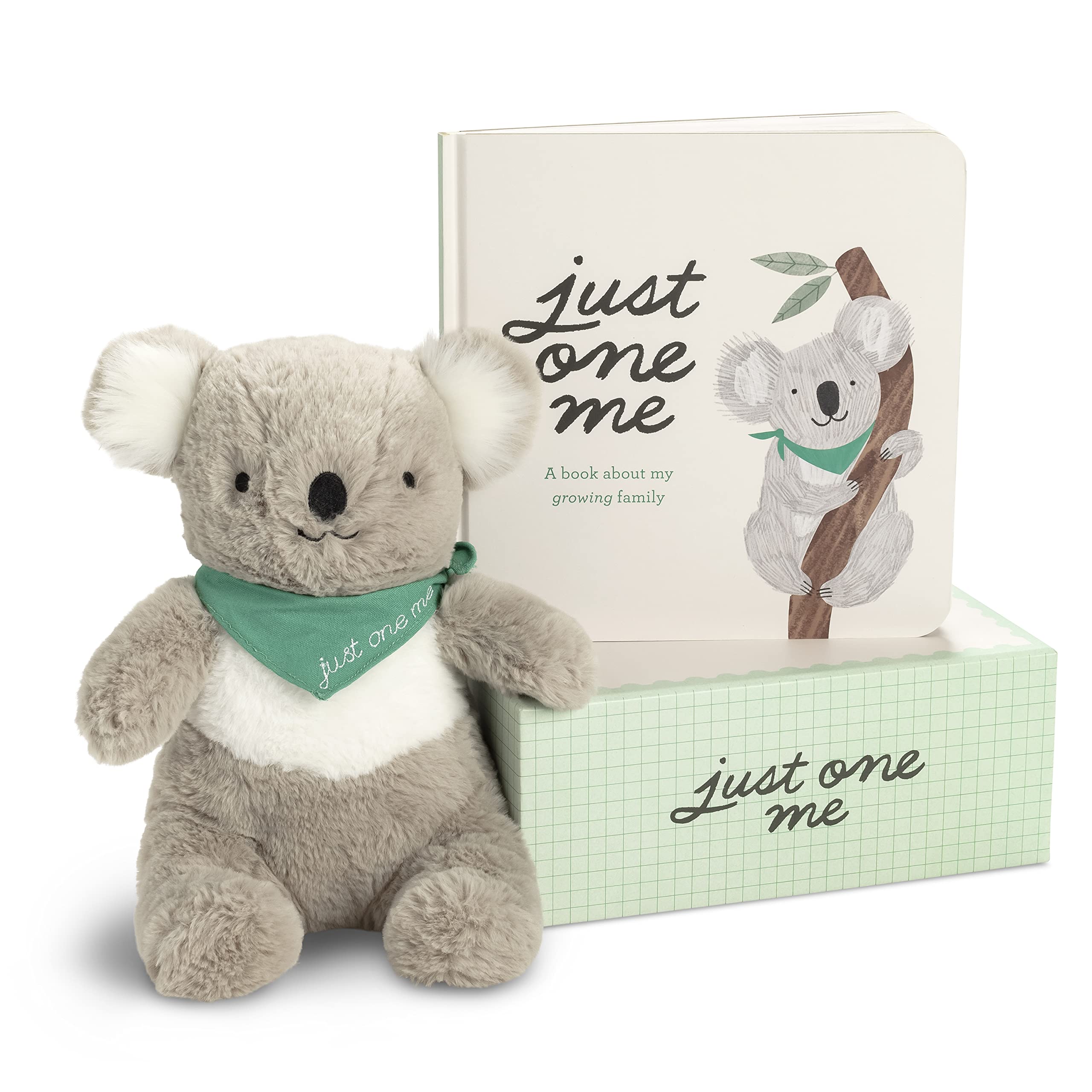 Just One Me: A Big Sibling Kit,Used