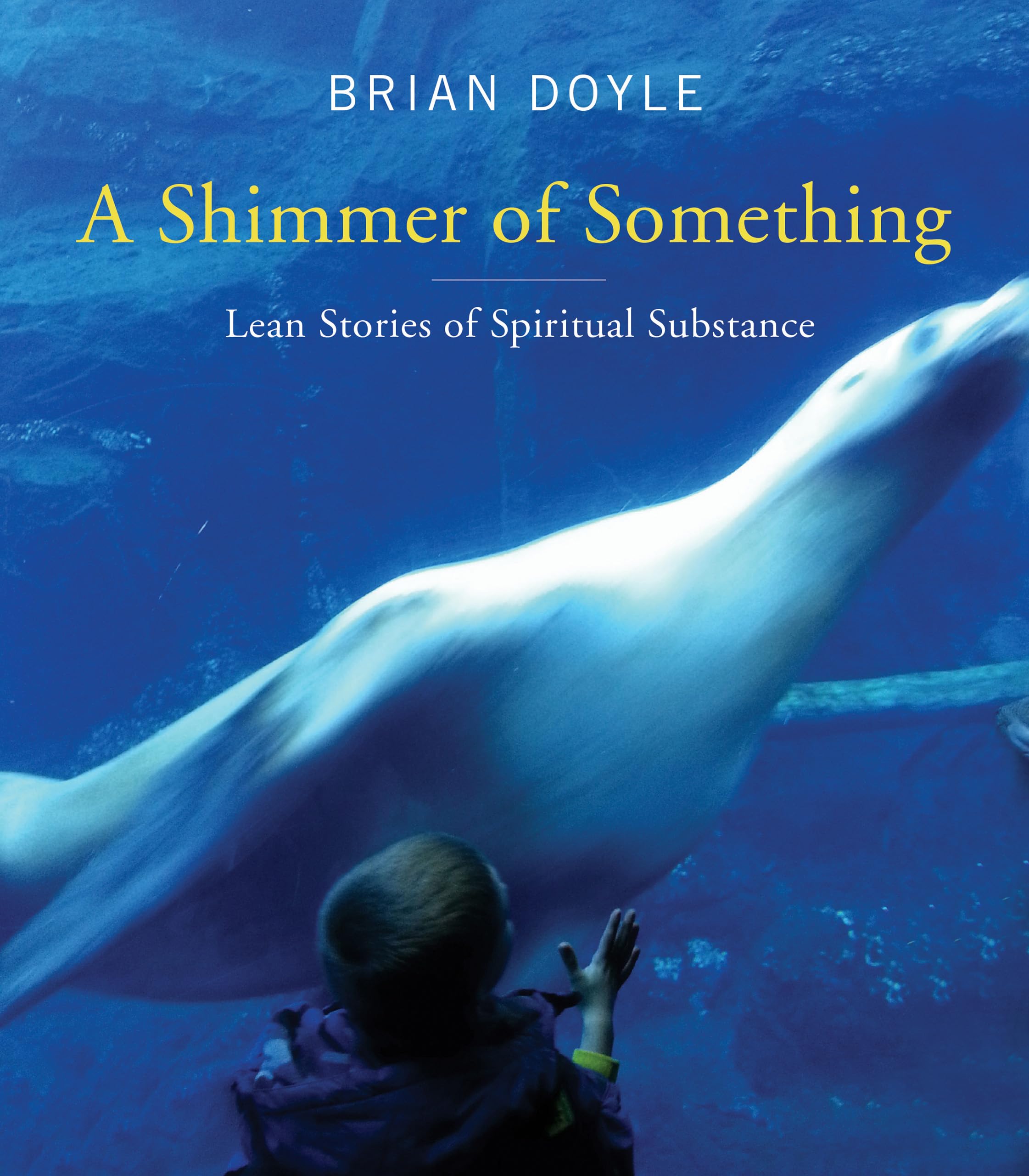 A Shimmer Of Something: Lean Stories Of Spiritual Substance