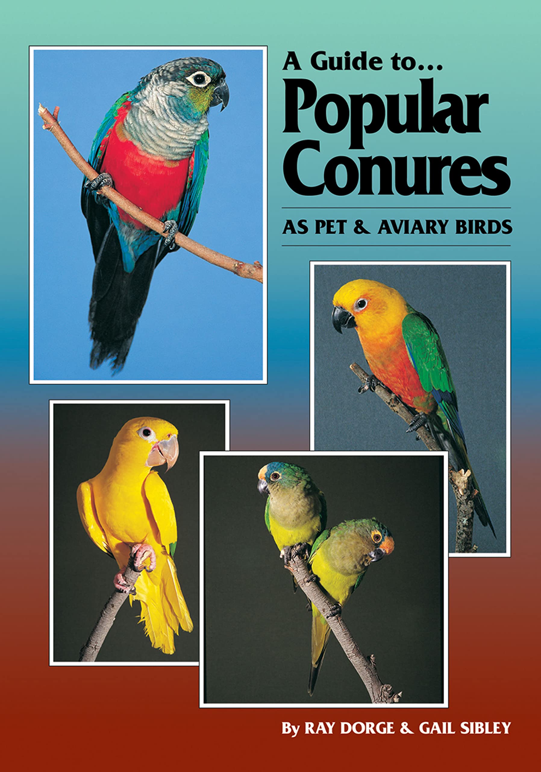 A Guide to Popular Conures as Pet and Aviary Birds,Used