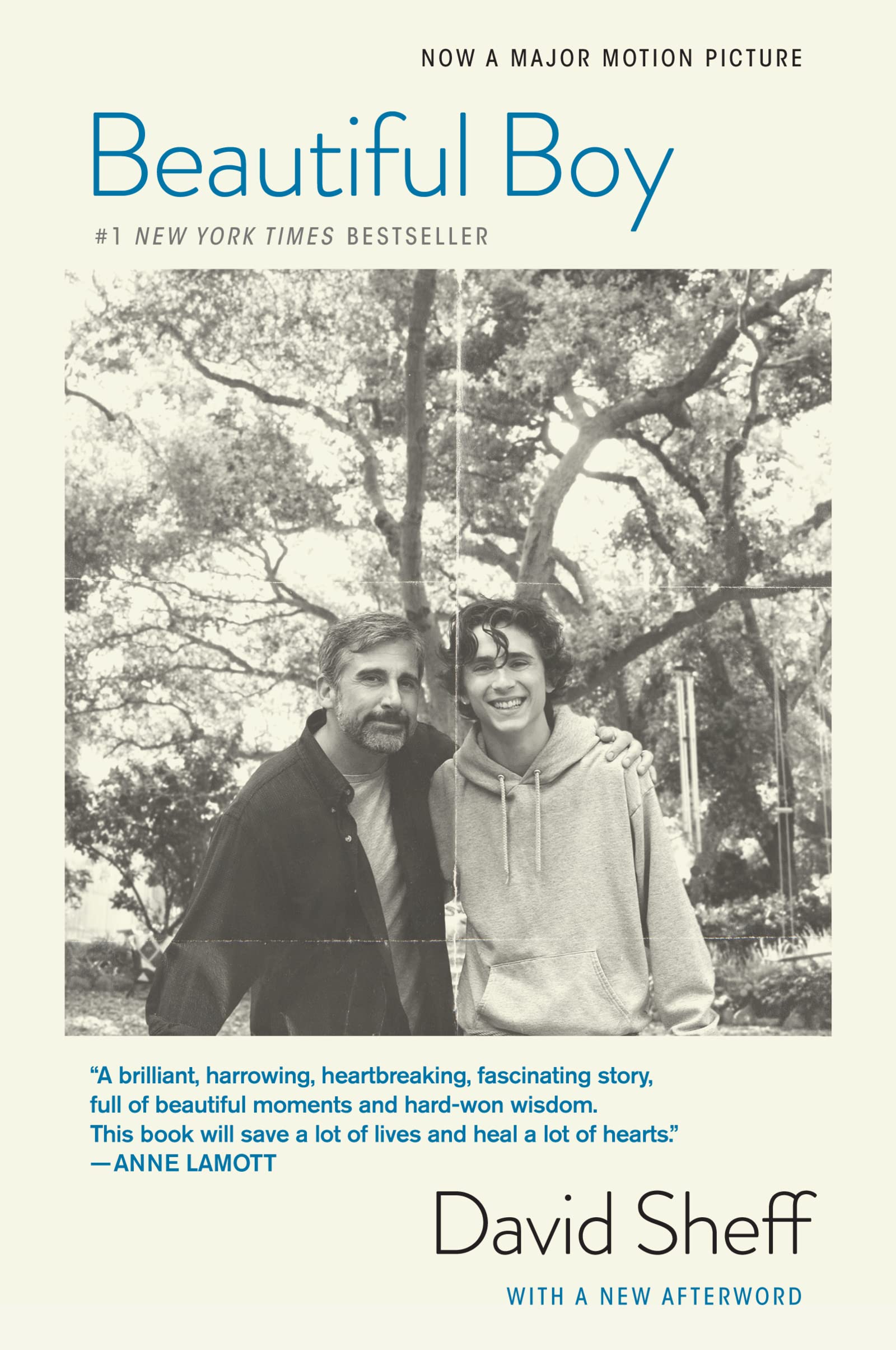Beautiful Boy (Tiein): A Father'S Journey Through His Son'S Addiction