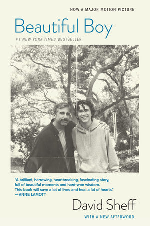 Beautiful Boy (Tiein): A Father'S Journey Through His Son'S Addiction