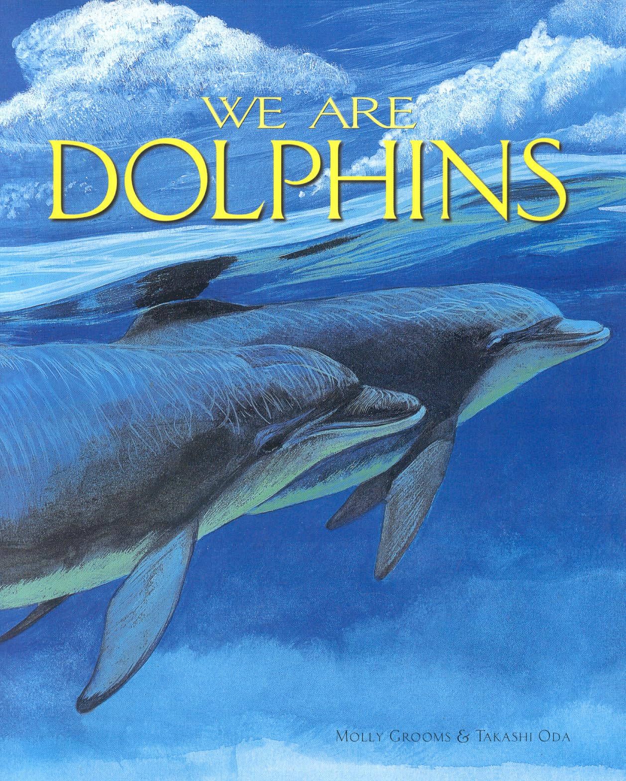 We Are Dolphins,Used