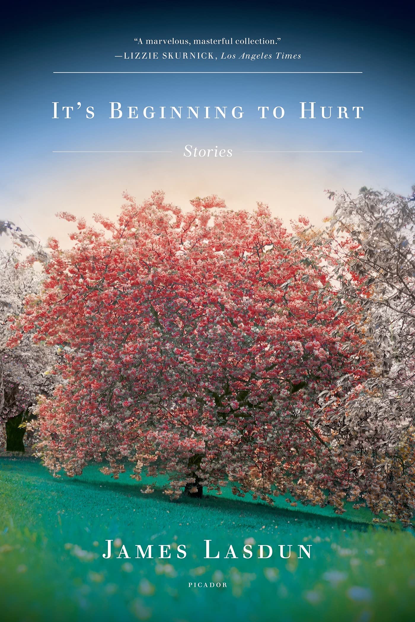 It's Beginning to Hurt: Stories,Used