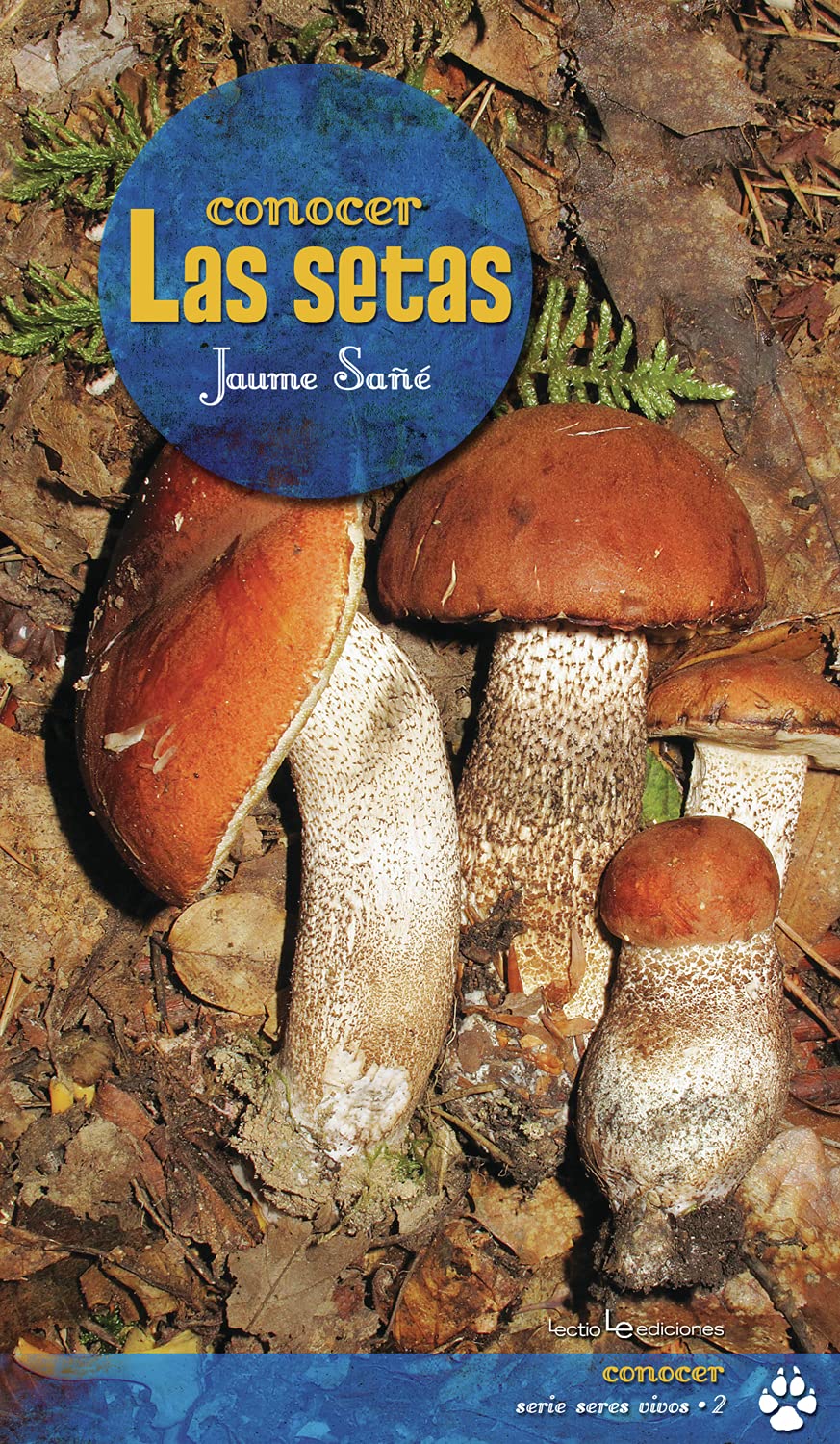 Conocer Las Setas (Spanish Edition),Used