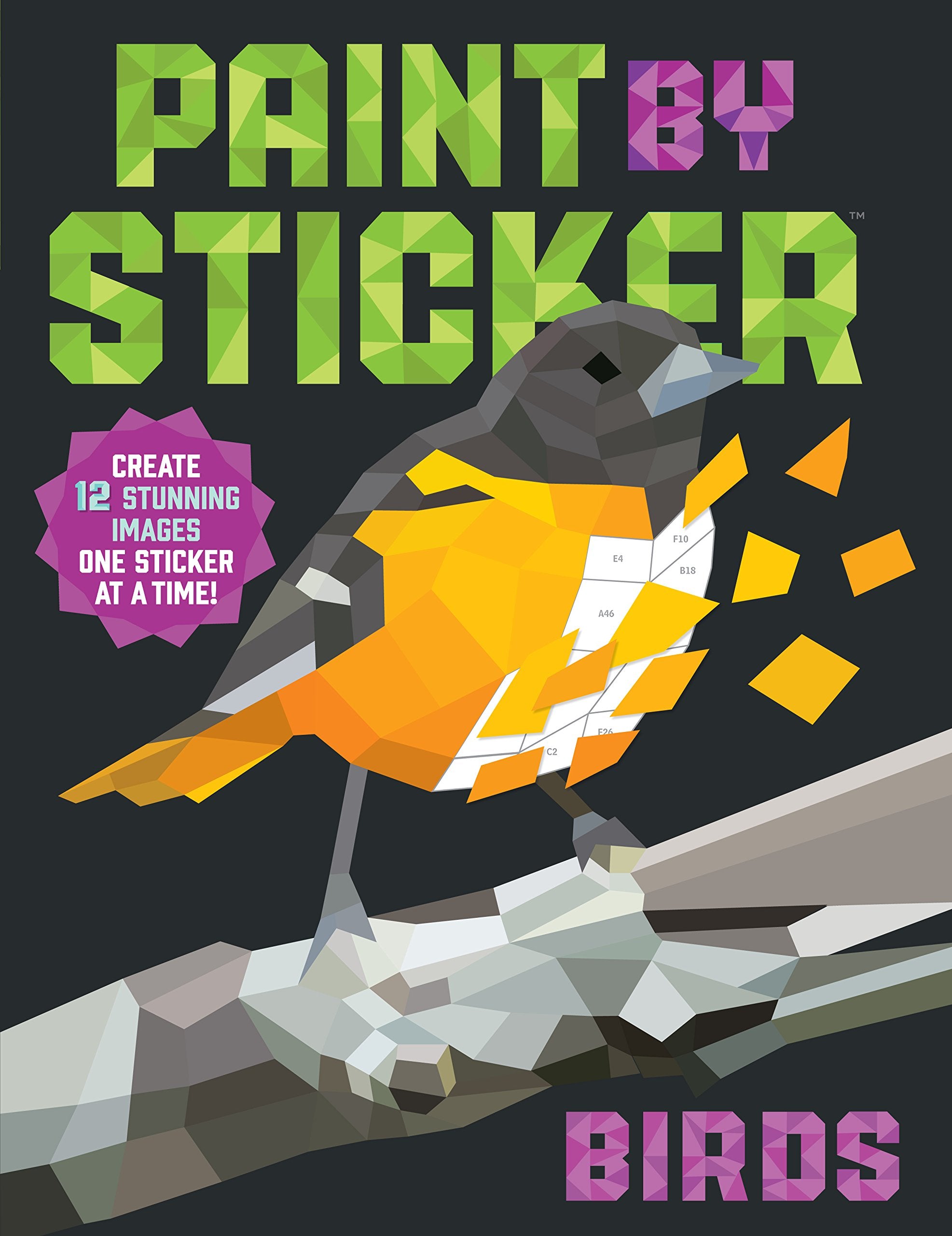 Paint by Sticker: Birds: Create 12 Stunning Images One Sticker at a Time!,New