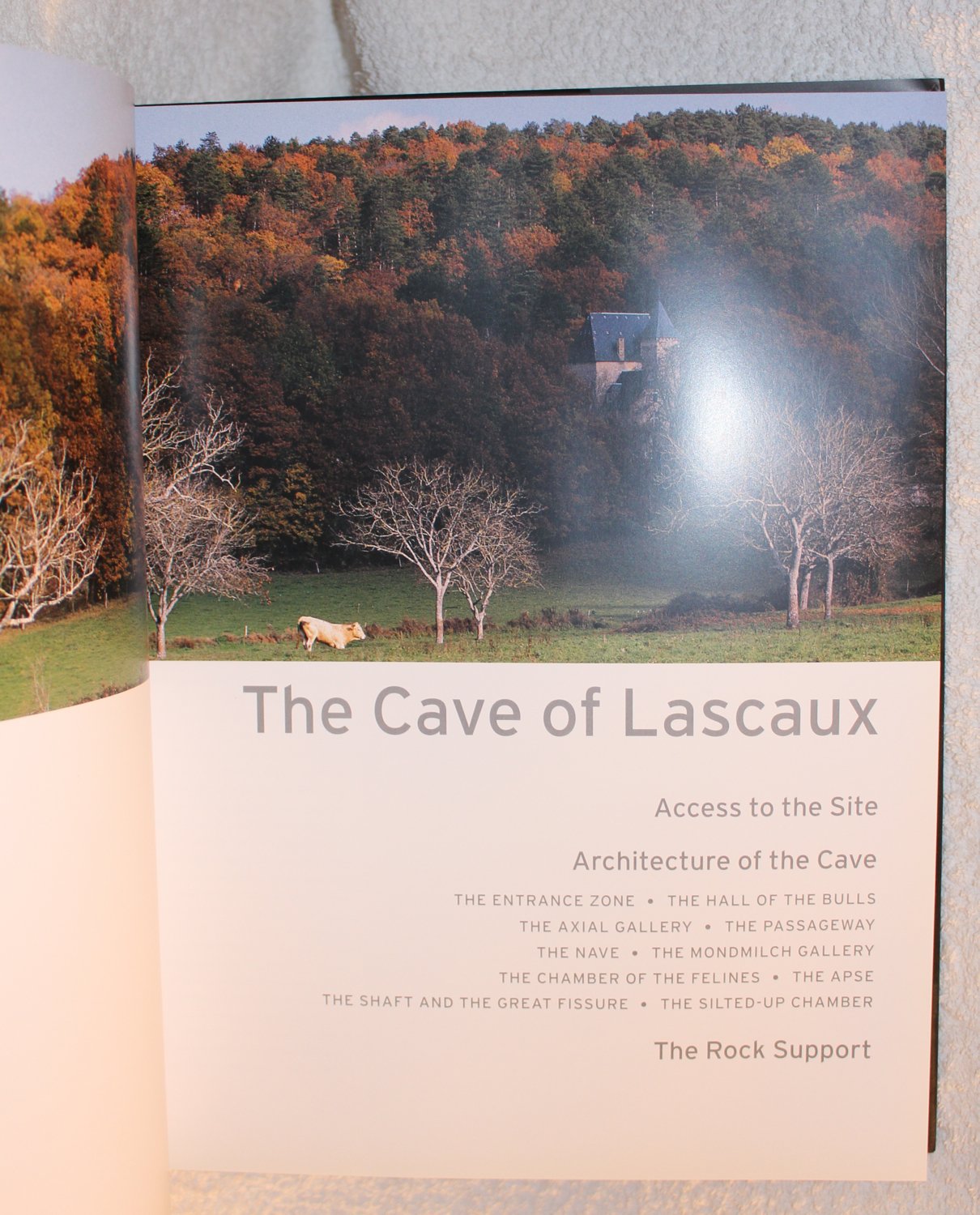Lascaux: Movement, Space And Time