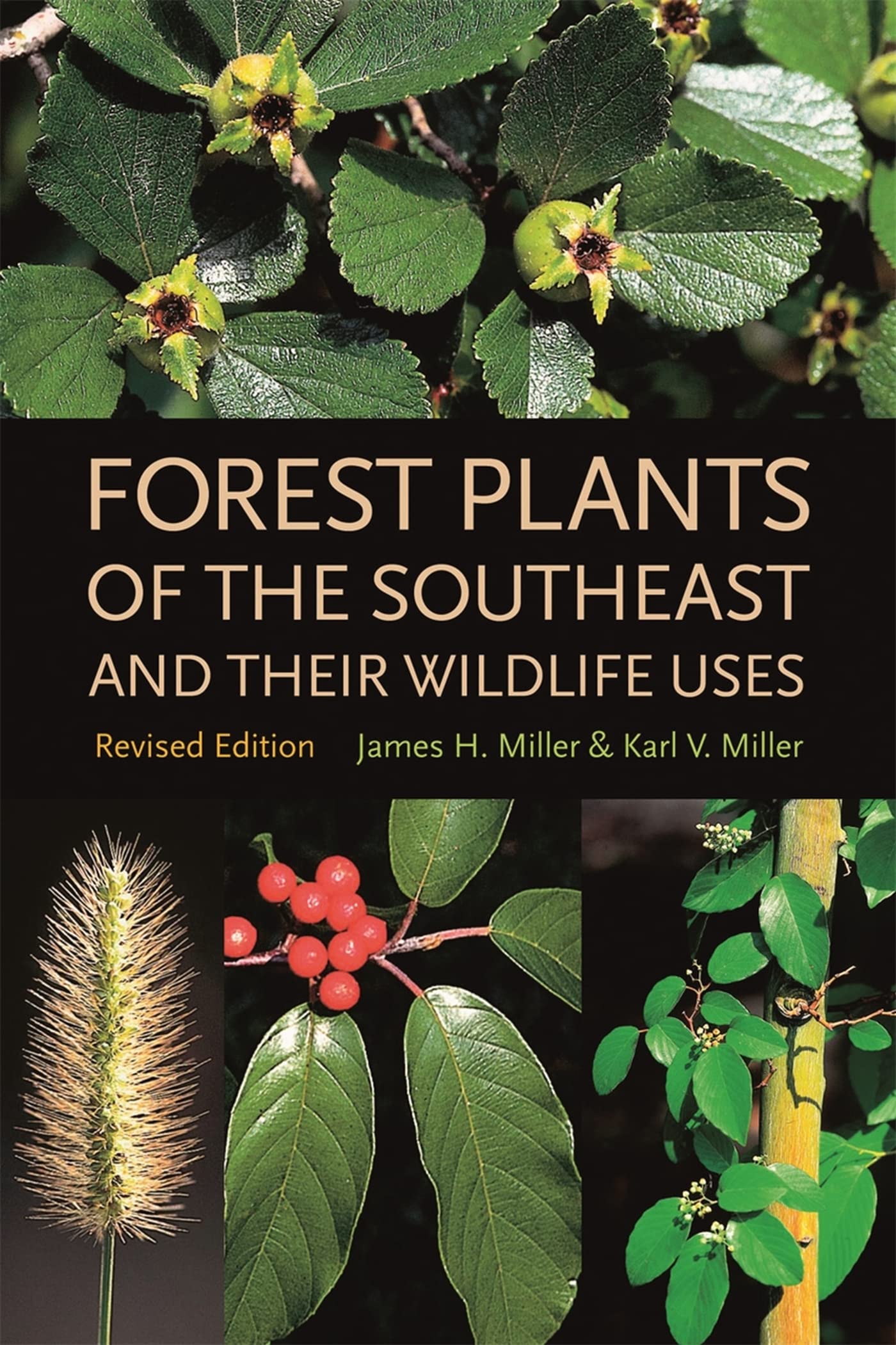 Forest Plants Of The Southeast And Their Wildlife Uses,New