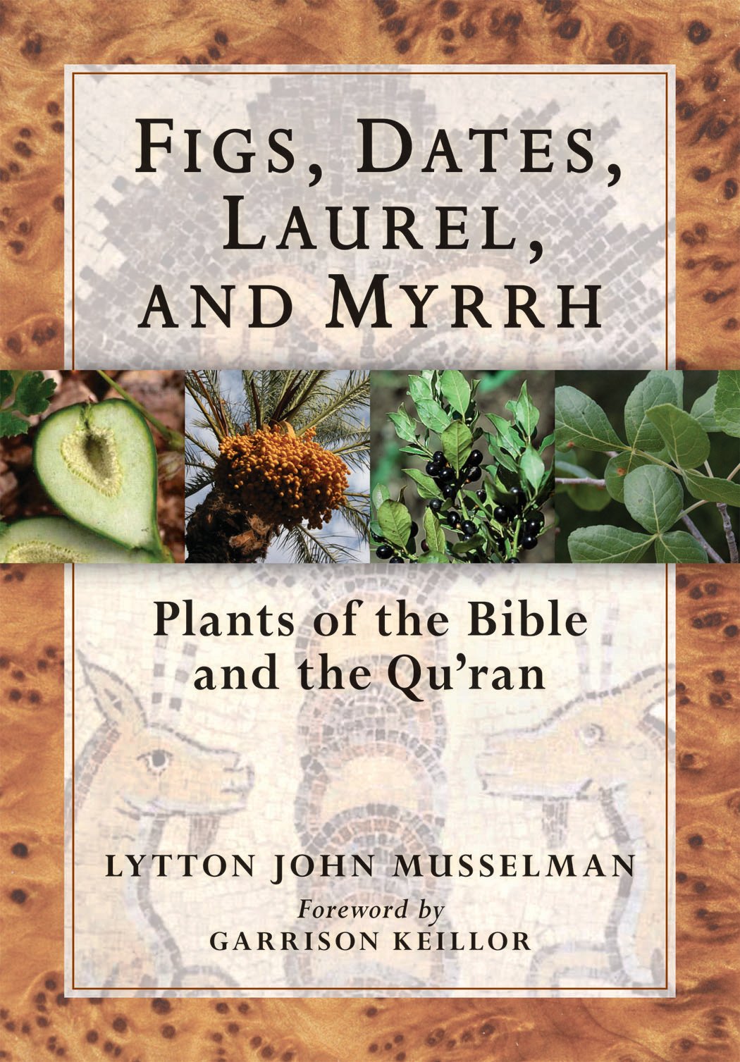 Figs, Dates, Laurel, And Myrrh: Plants Of The Bible And The Quran-new