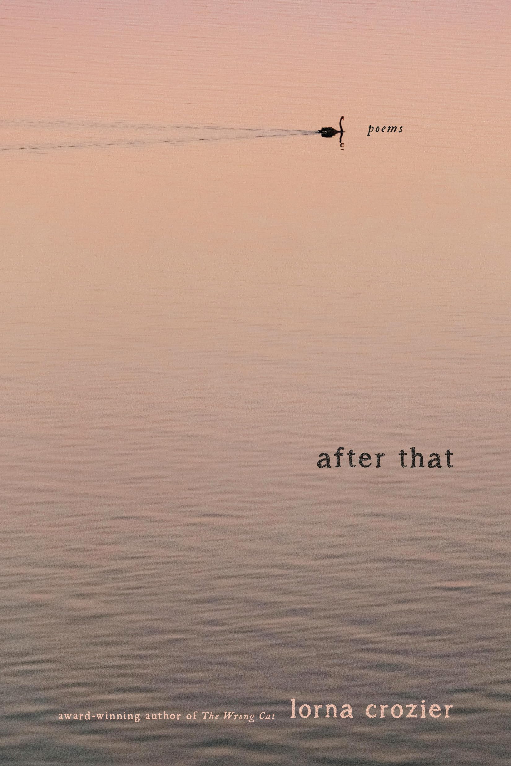 After That: Poems,Used
