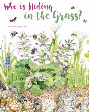 Who Is Hiding In The Grass?