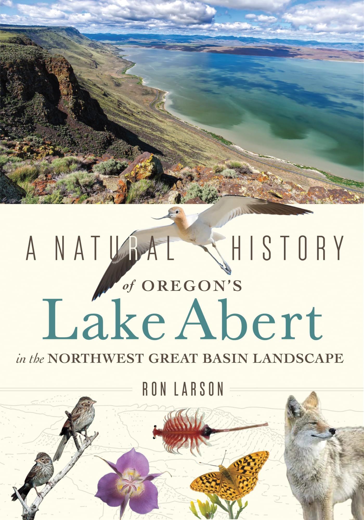 A Natural History Of Oregon'S Lake Abert In The Northwest Great Basin Landscape,Used