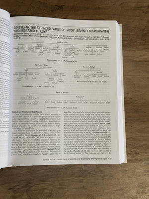 All the Genealogies of the Bible: Visual Charts and Exegetical Commentary,New