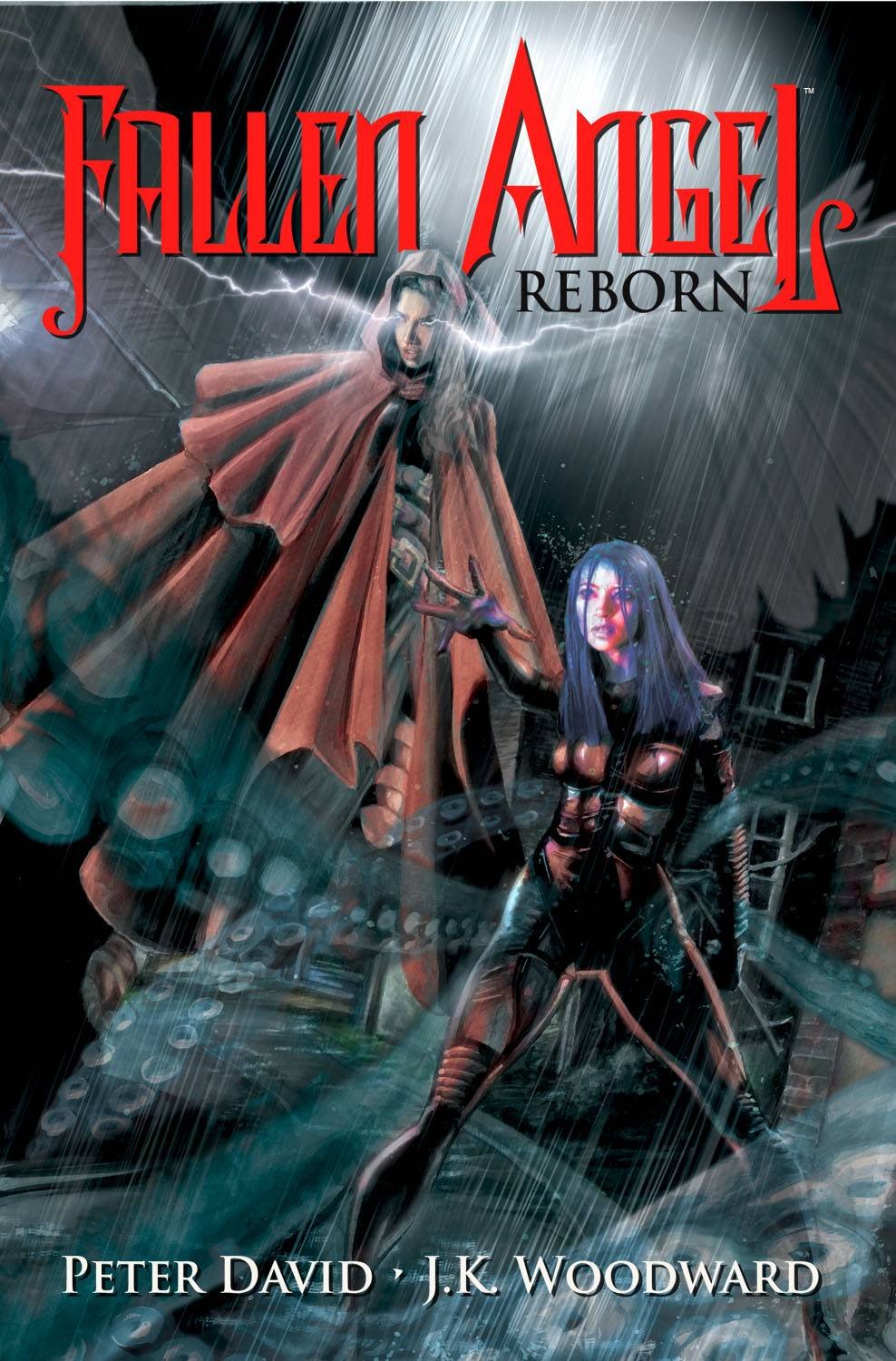 Fallen Angel Reborn,Used