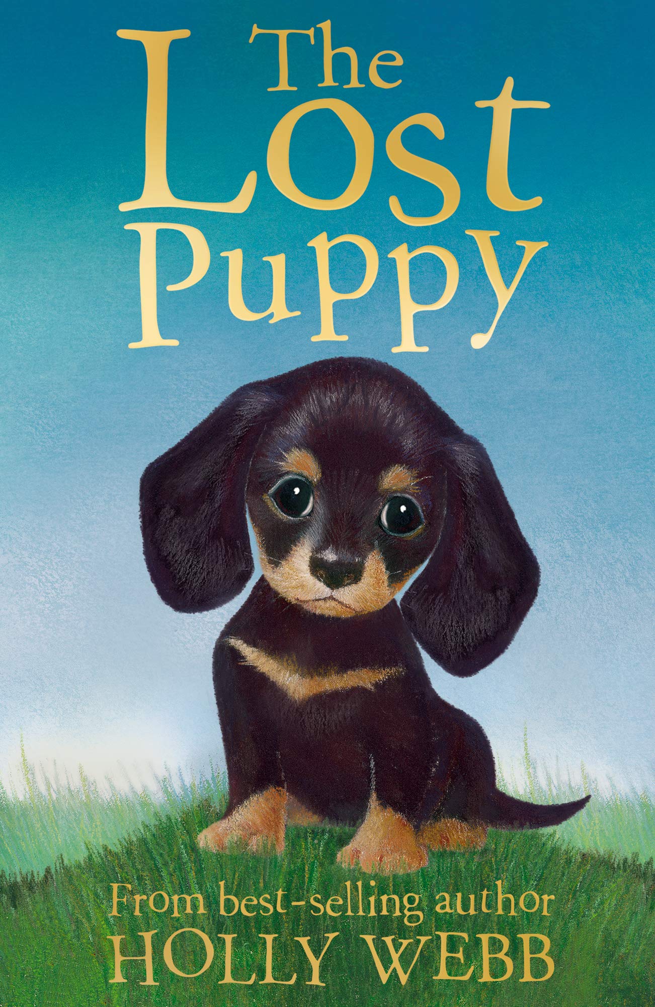 Lost Puppy,Used