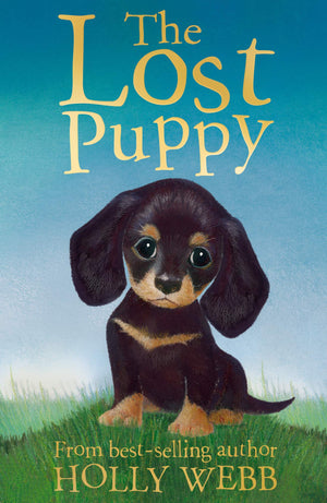 Lost Puppy,Used