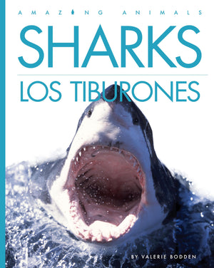 Sharks / Los Tiburones (Spanish Edition)