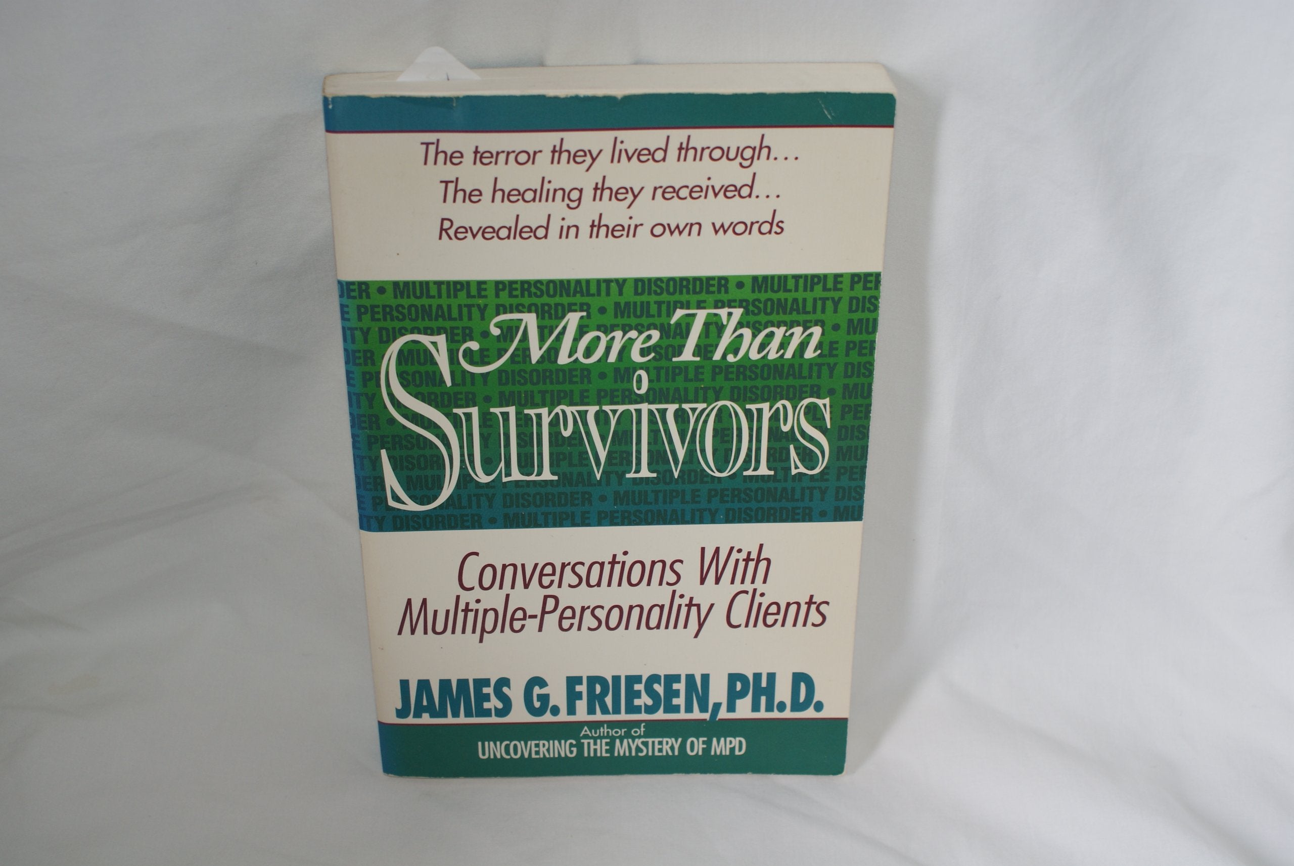 More Than Survivors: Conversations with Multiple Personality Clients,Used