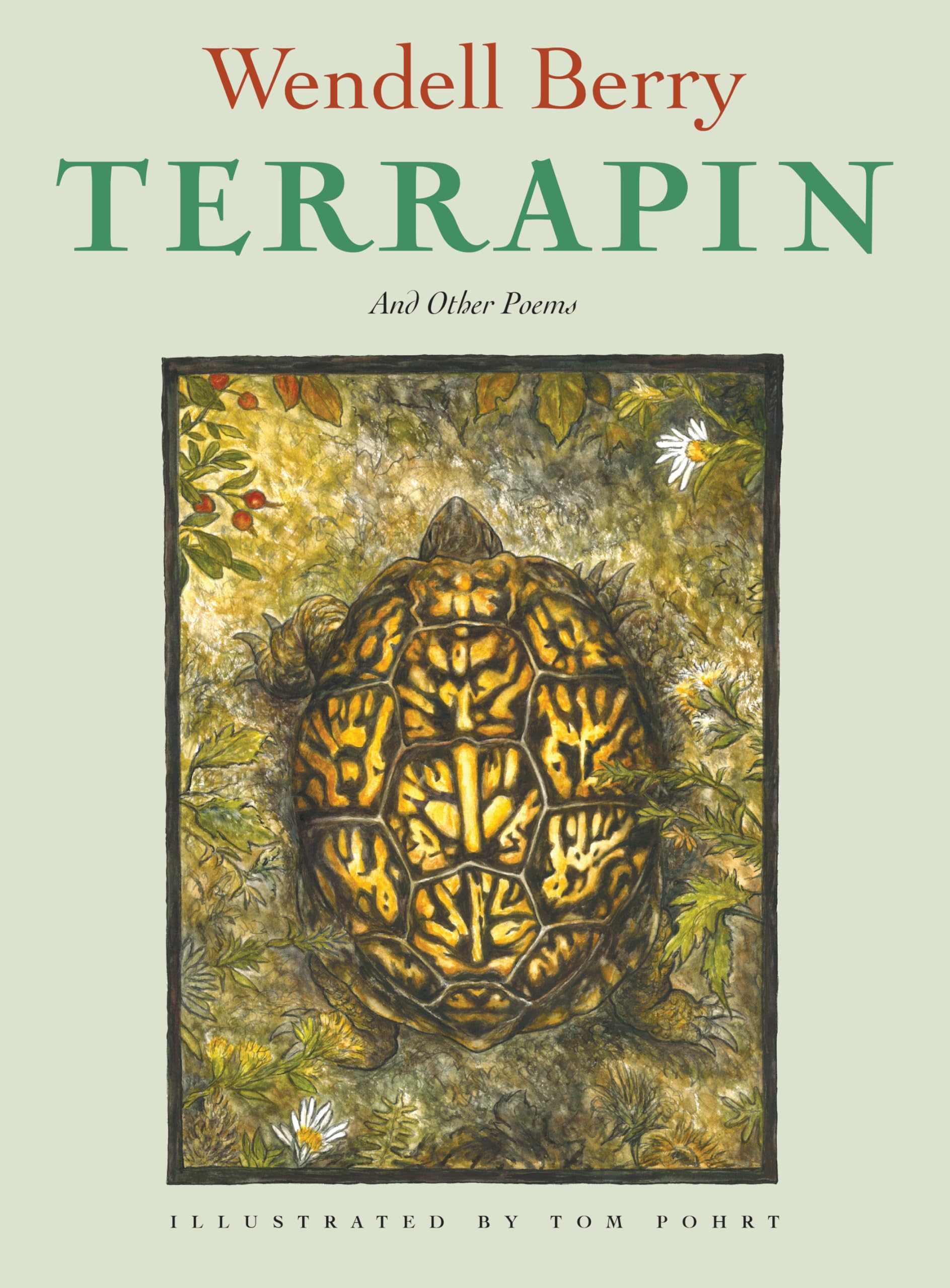 Terrapin: Poems by Wendell Berry,Used