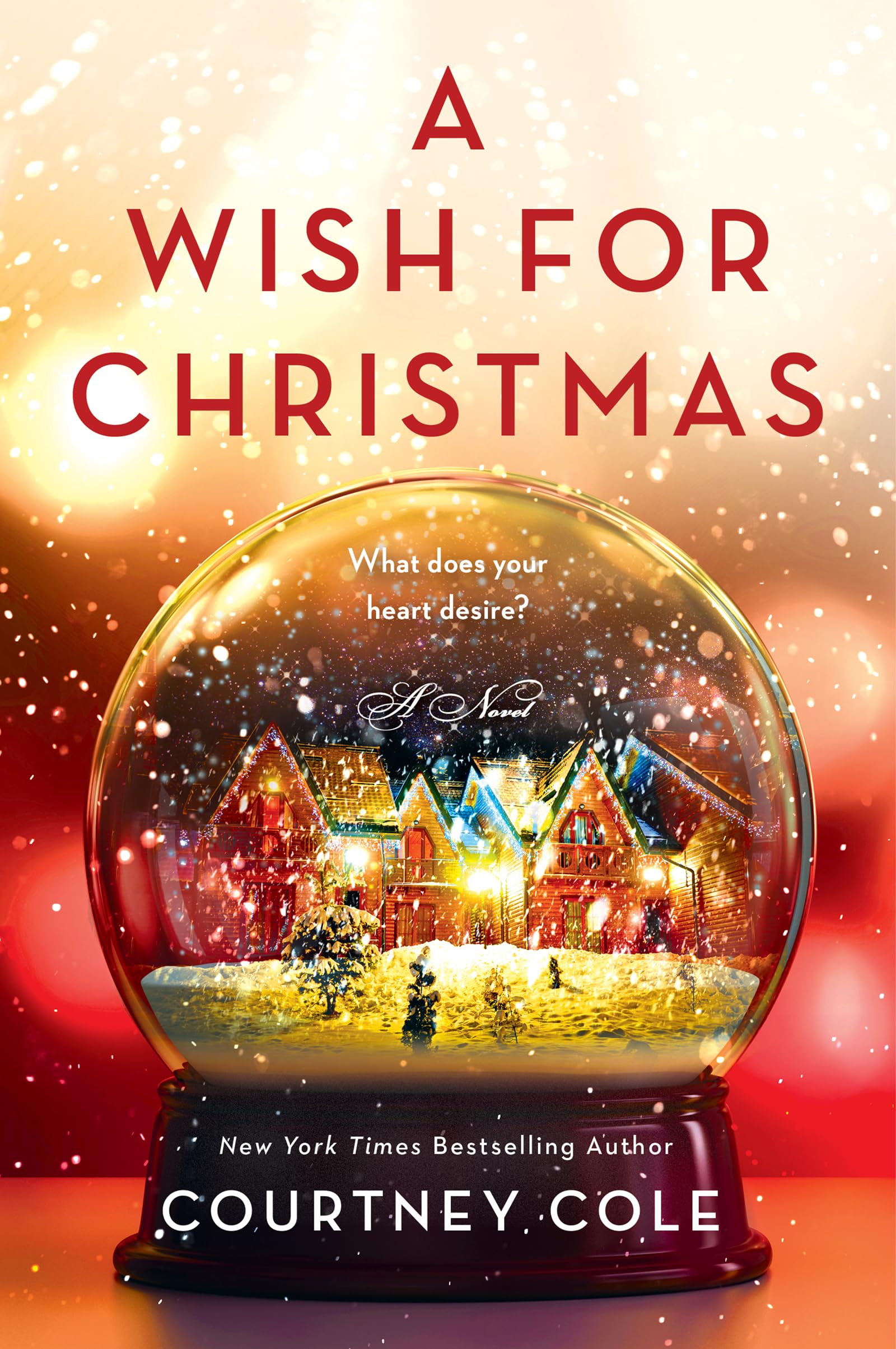 A Wish For Christmas: A Novel,Used