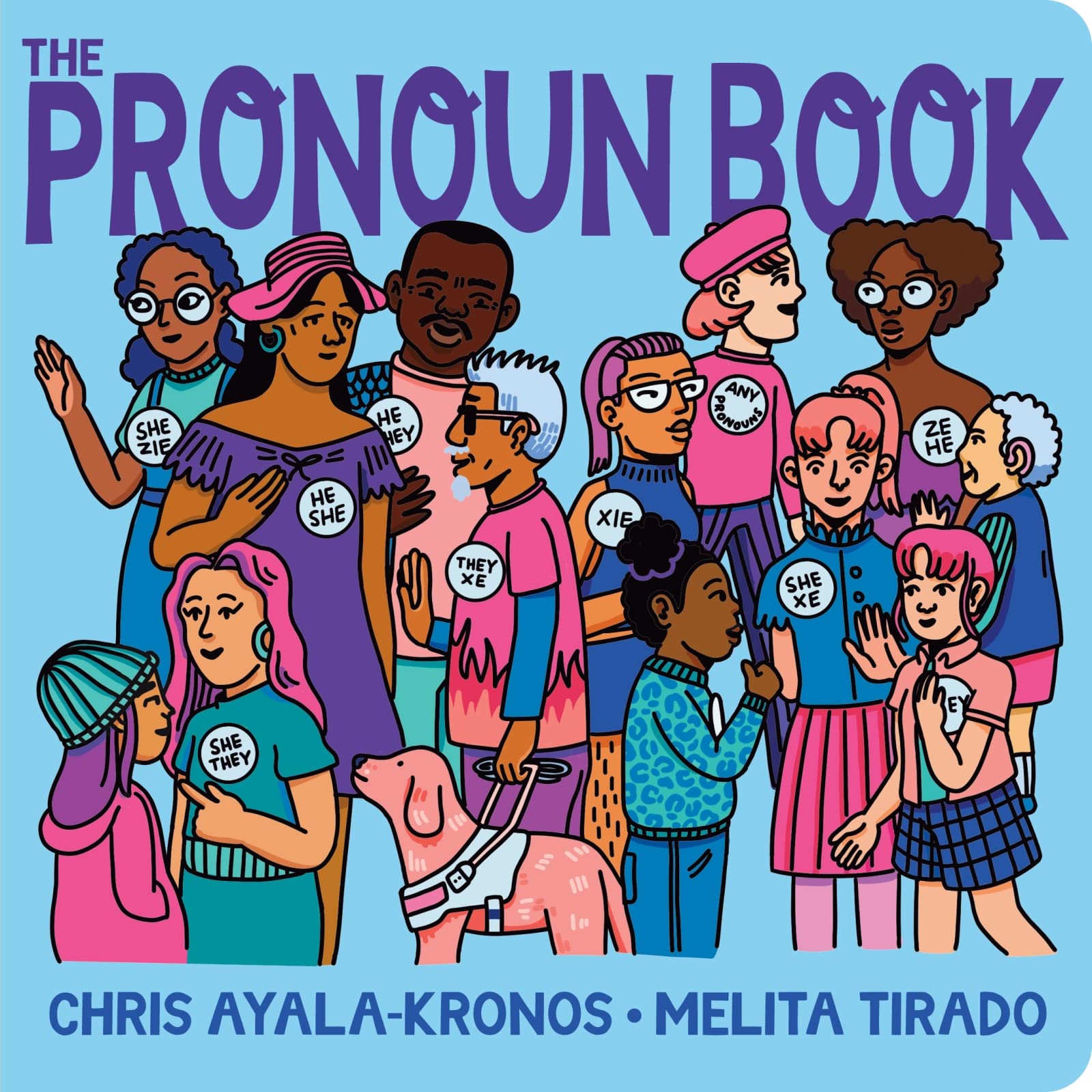 The Pronoun Book,Used