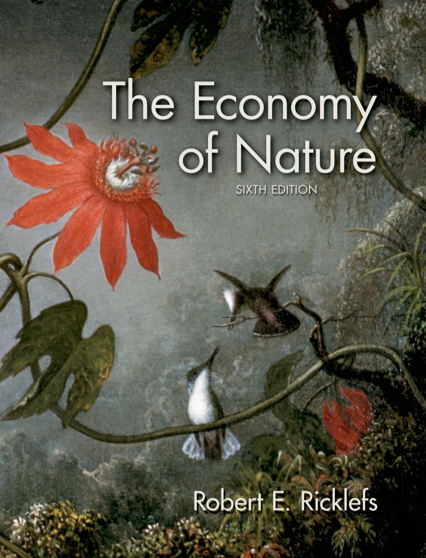The Economy of Nature,Used