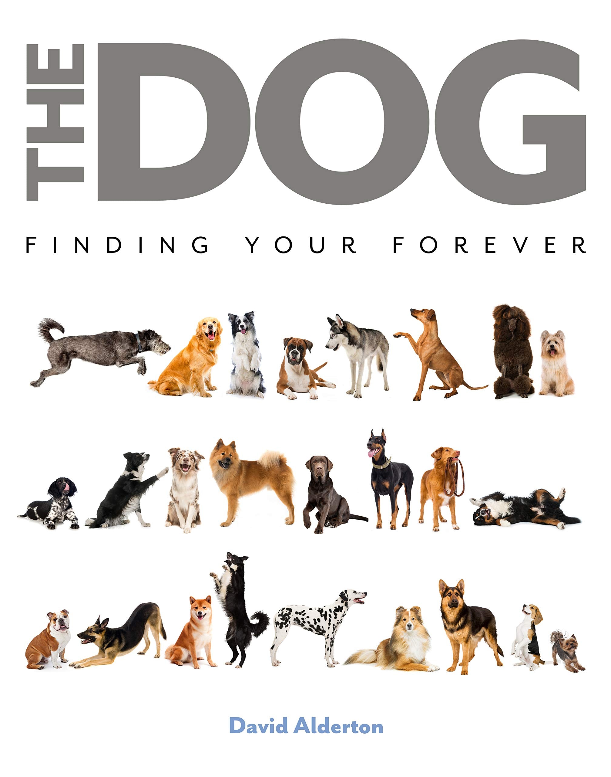 The Dog: Finding Your Forever,Used