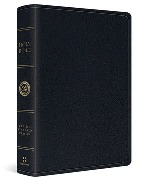 ESV Large Print Wide Margin Bible (Black),Used