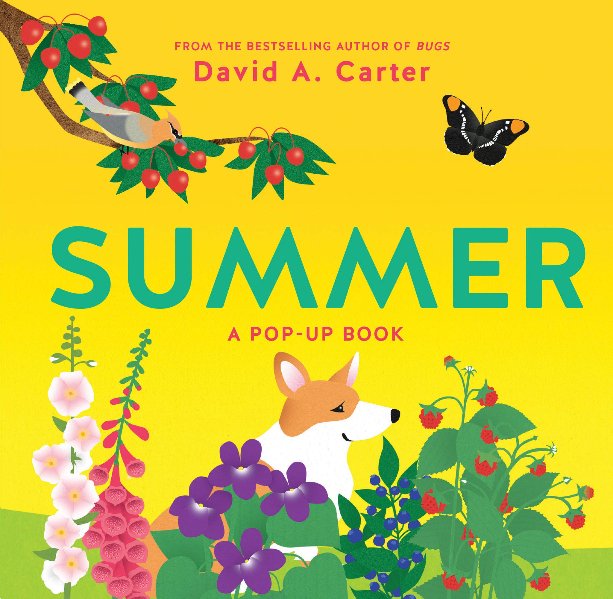 Summer: A Popup Book (Seasons Popup)