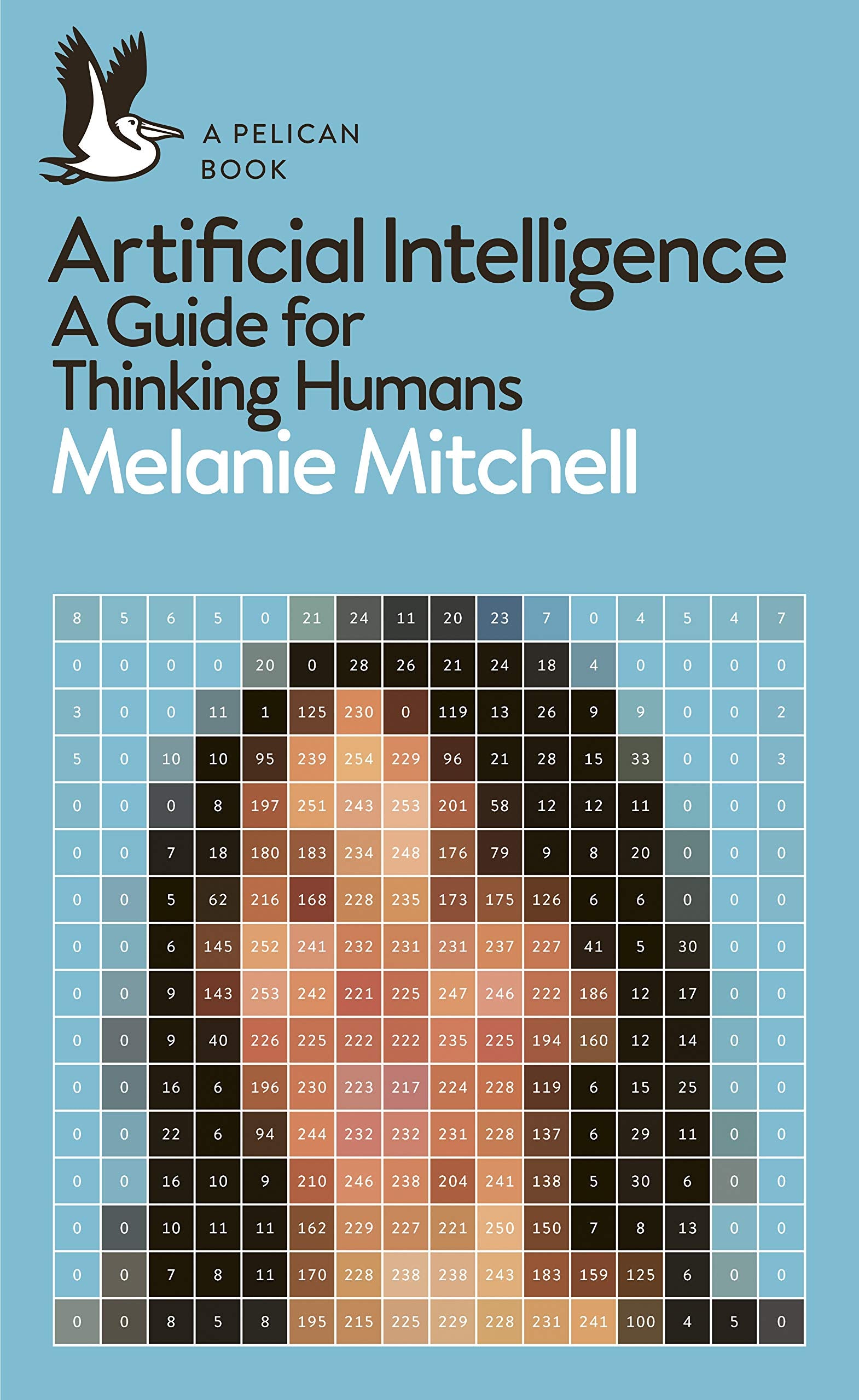 Artificial Intelligence: A Guide for Thinking Humans (Pelican Books),Used