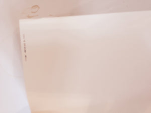 Das Reich: March Of The Second Ss Panzer Division Through France