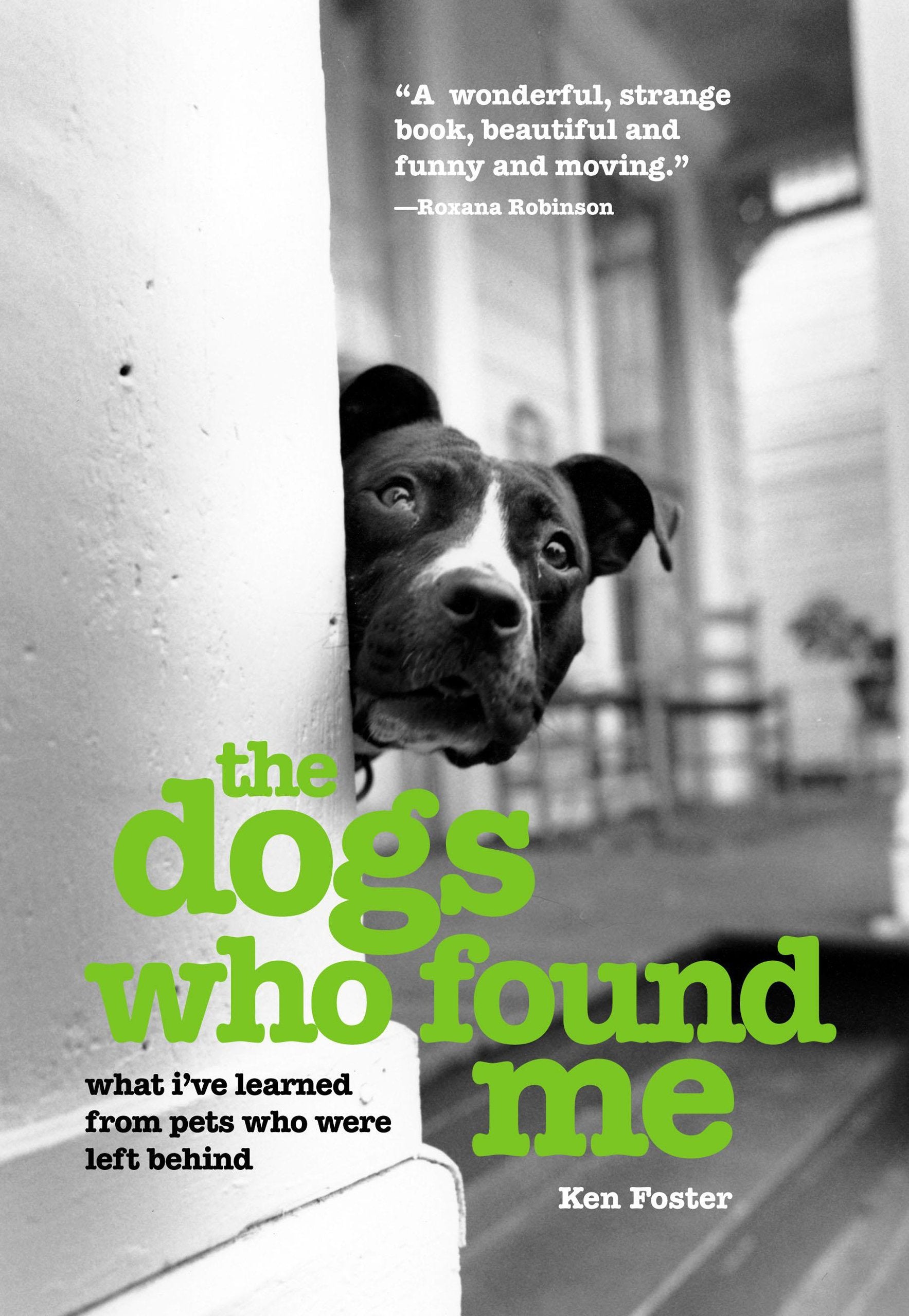 Dogs Who Found Me: What I've Learned From Pets Who Were Left Behind,Used
