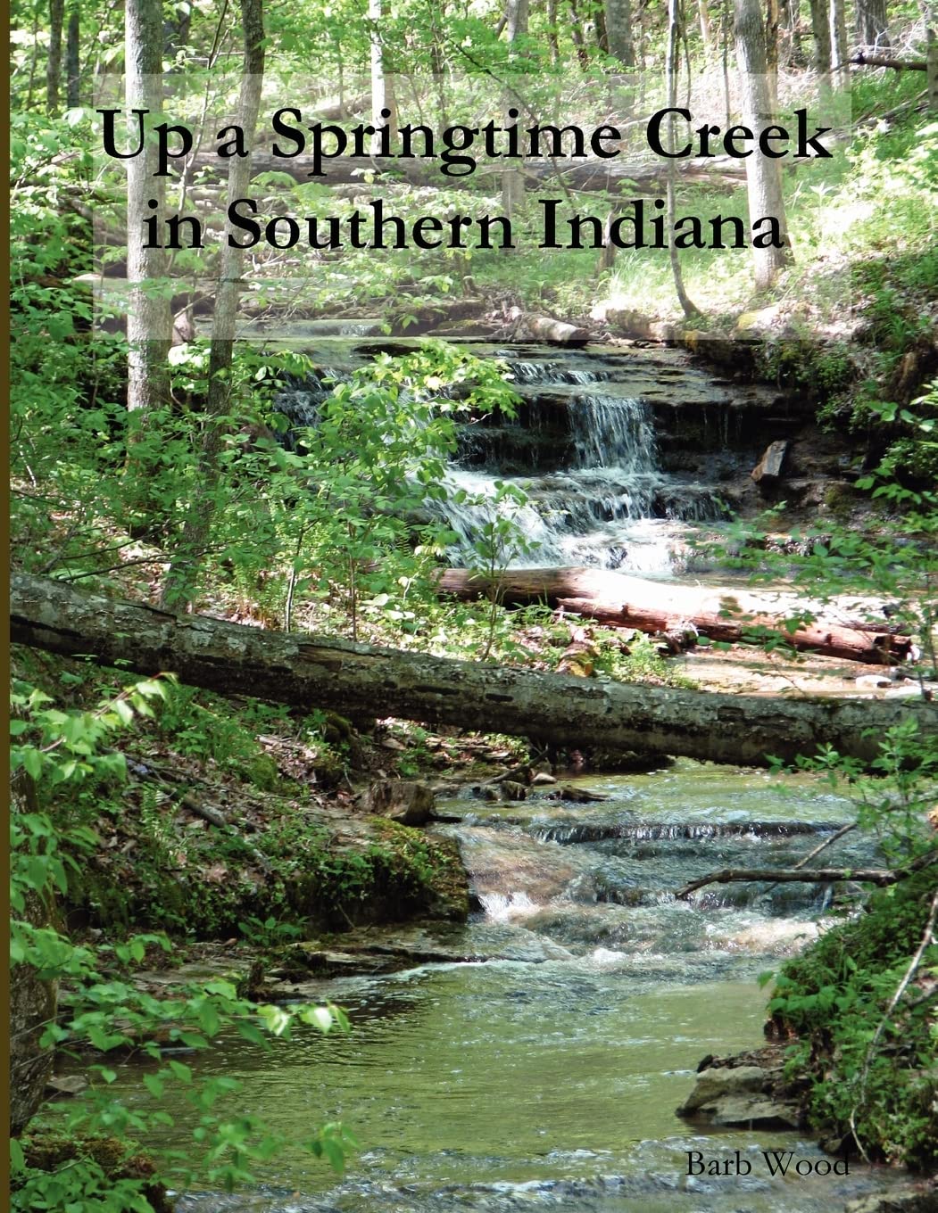 Up A Springtime Creek In Southern Indiana,Used
