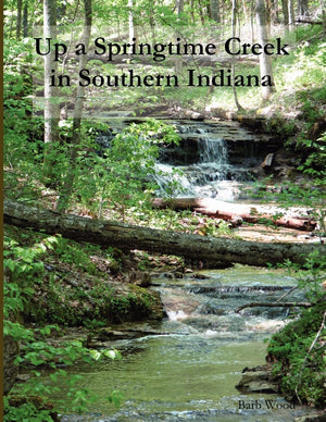 Up A Springtime Creek In Southern Indiana,Used