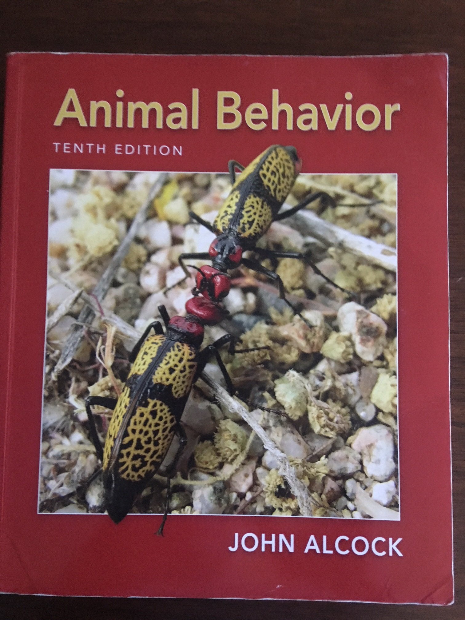 Animal Behavior: An Evolutionary Approach,Used