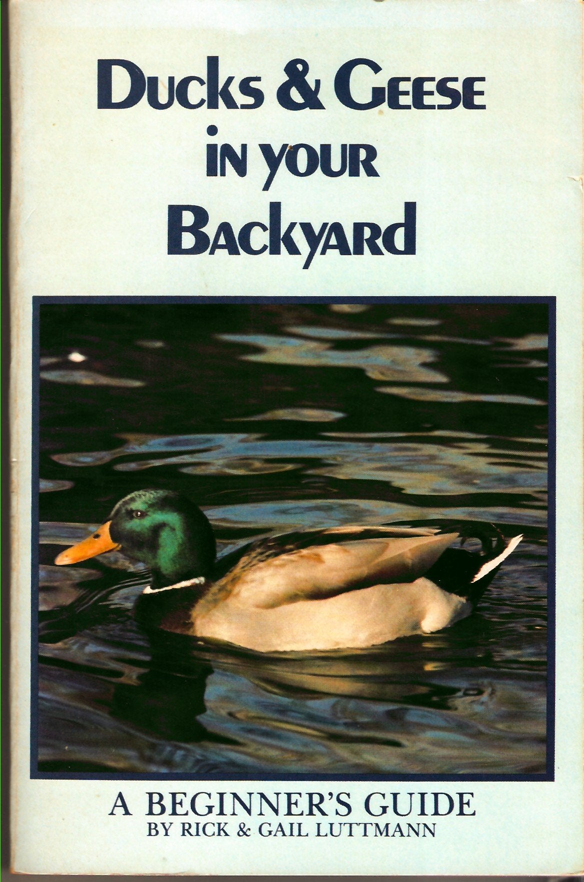 Ducks and Geese in Your Backyard: A Beginner's Guide,Used