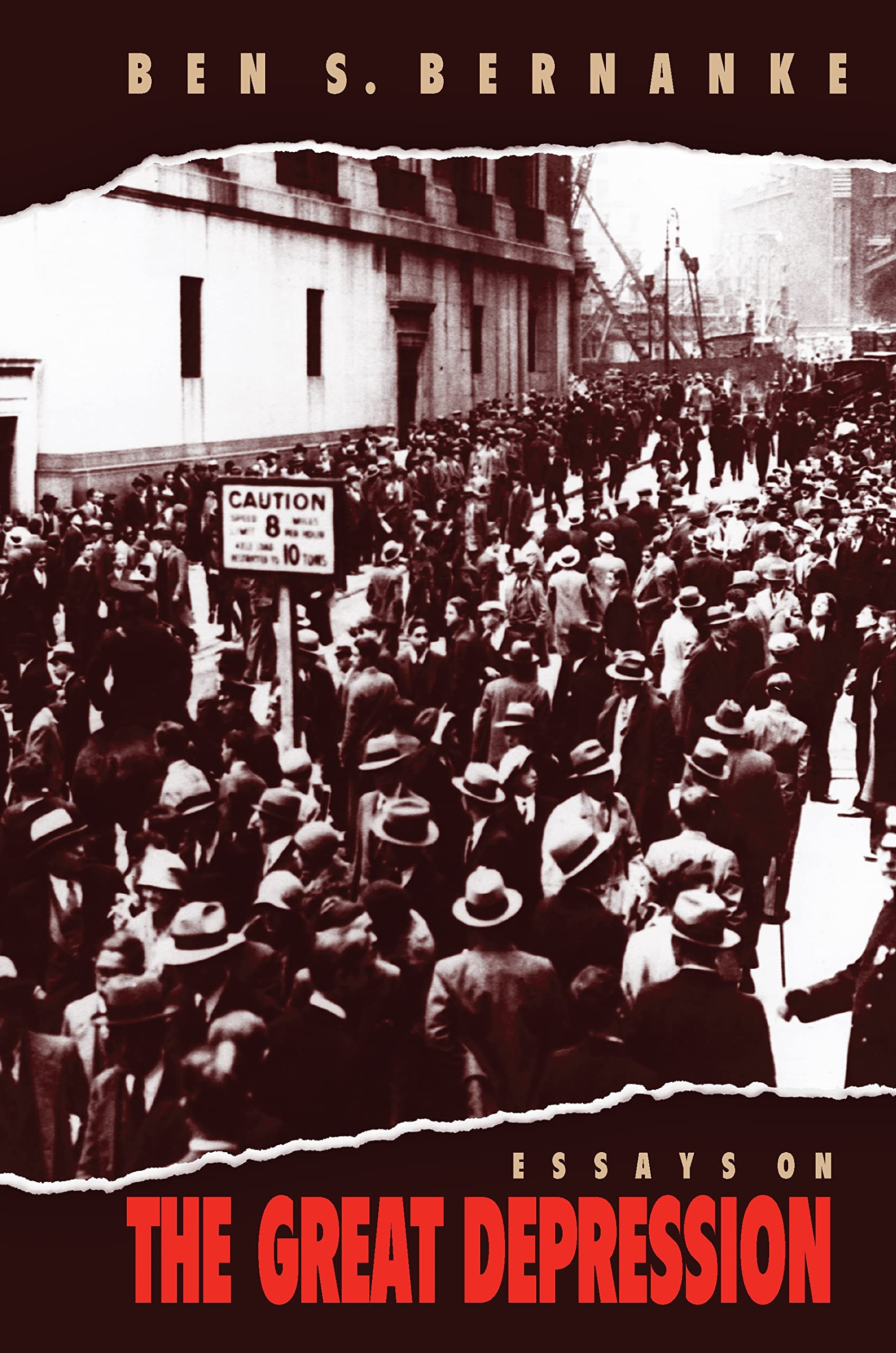 Essays on the Great Depression,New