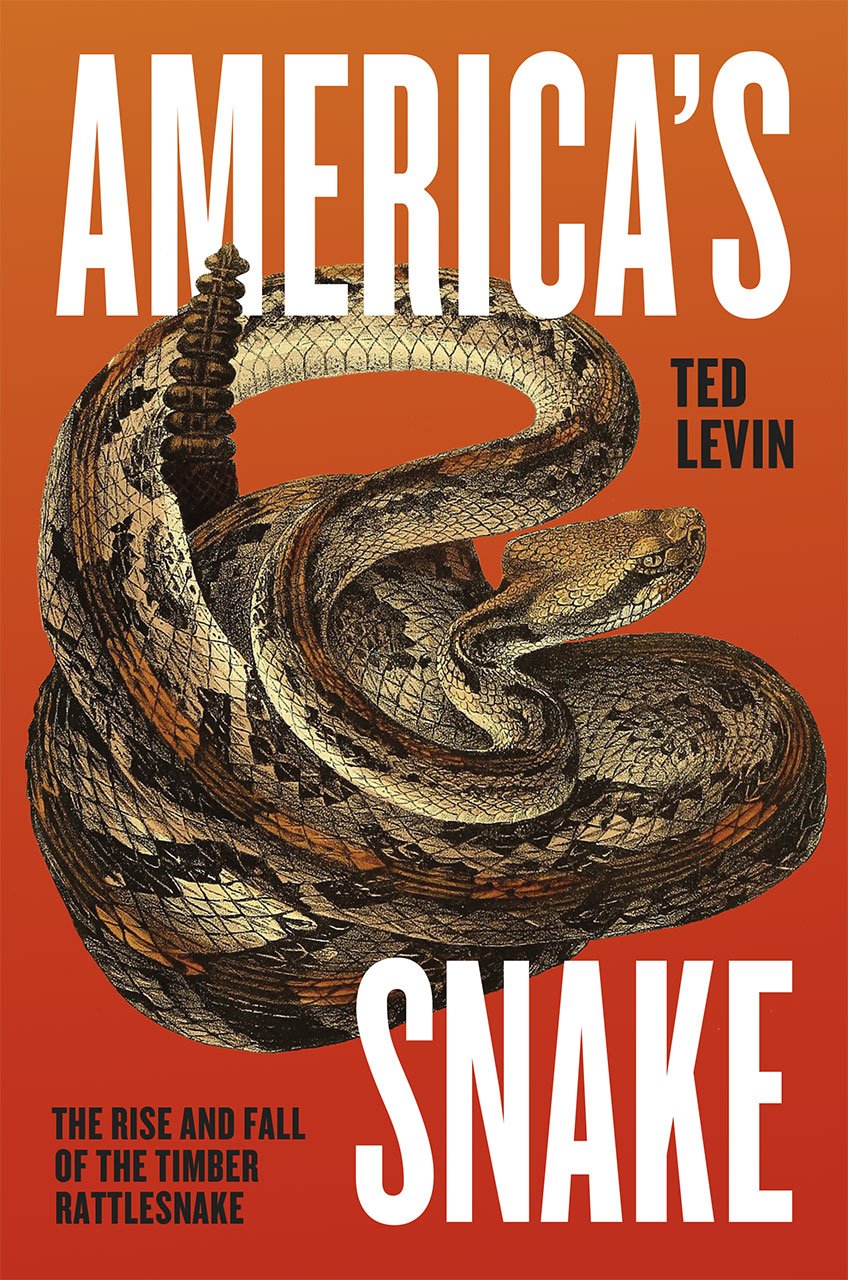America's Snake: The Rise and Fall of the Timber Rattlesnake,New
