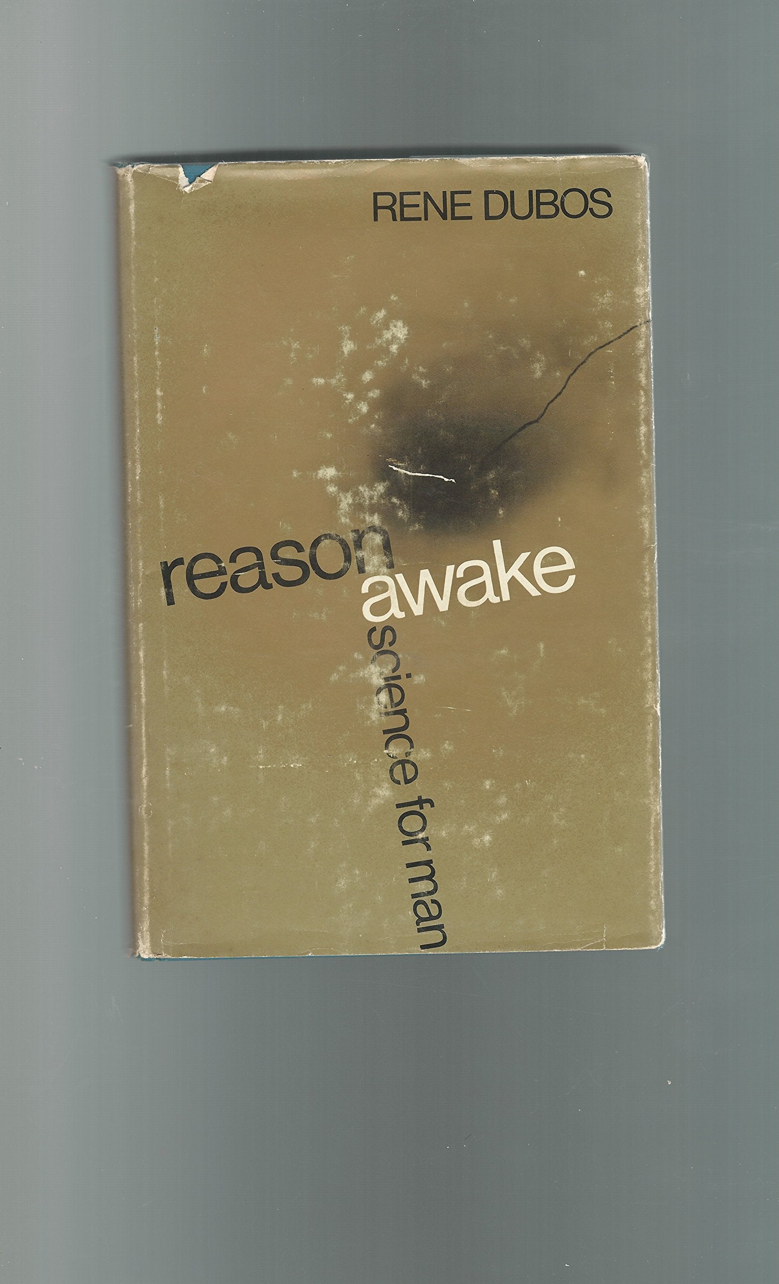 Reason Awake,Used