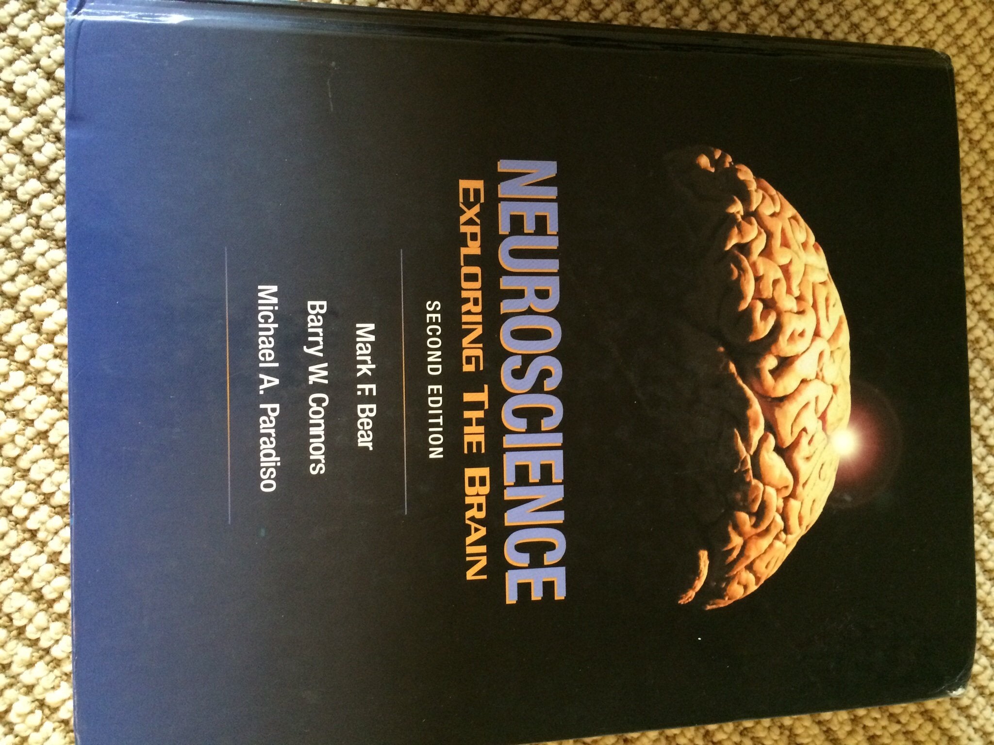 Neuroscience: Exploring the Brain,Used