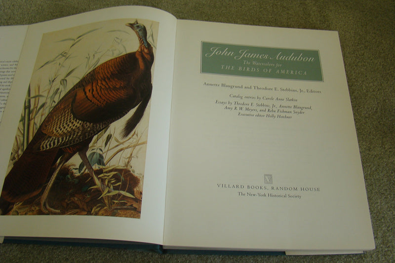 John James Audubon: The Watercolors for the Birds of America,New