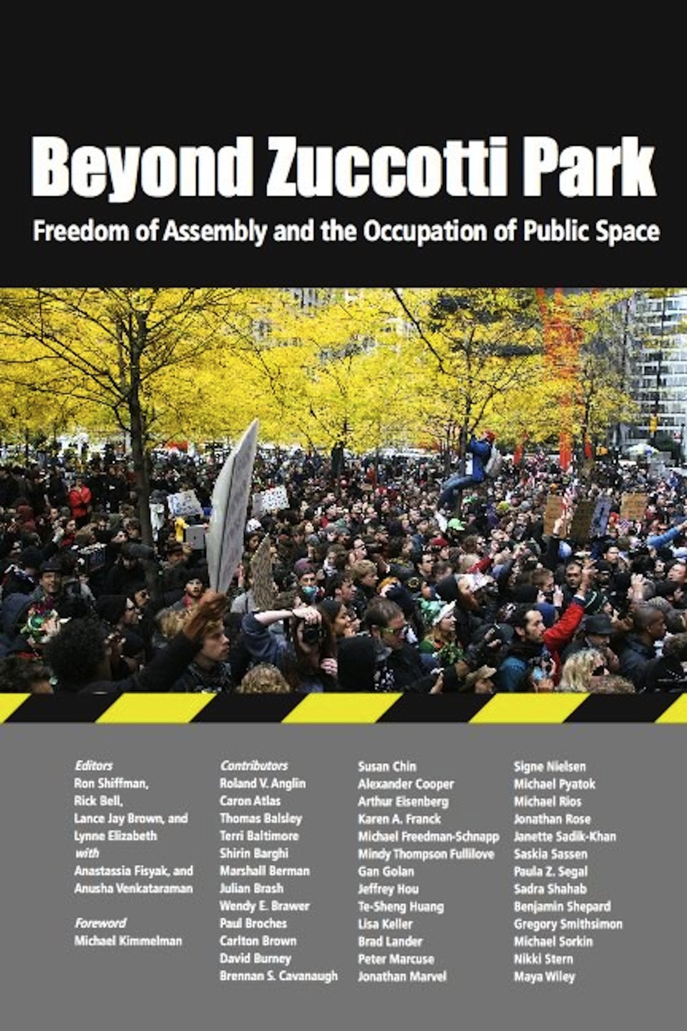 Beyond Zuccotti Park: Freedom Of Assembly And The Occupation Of Public Space,Used