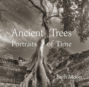 Ancient Trees: Portraits of Time,Used