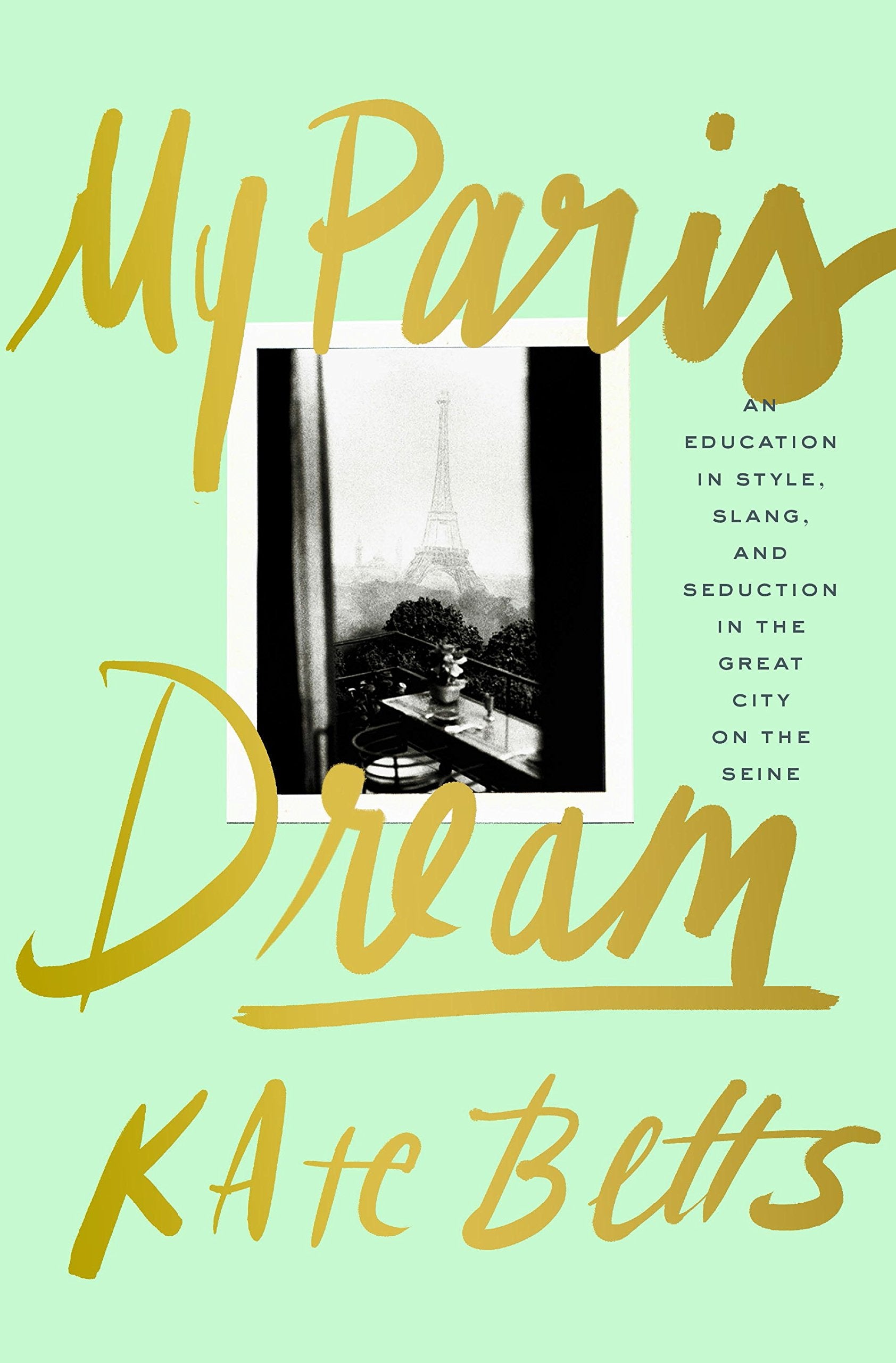 My Paris Dream: An Education In Style, Slang, And Seduction In The Great City On The Seine,Used