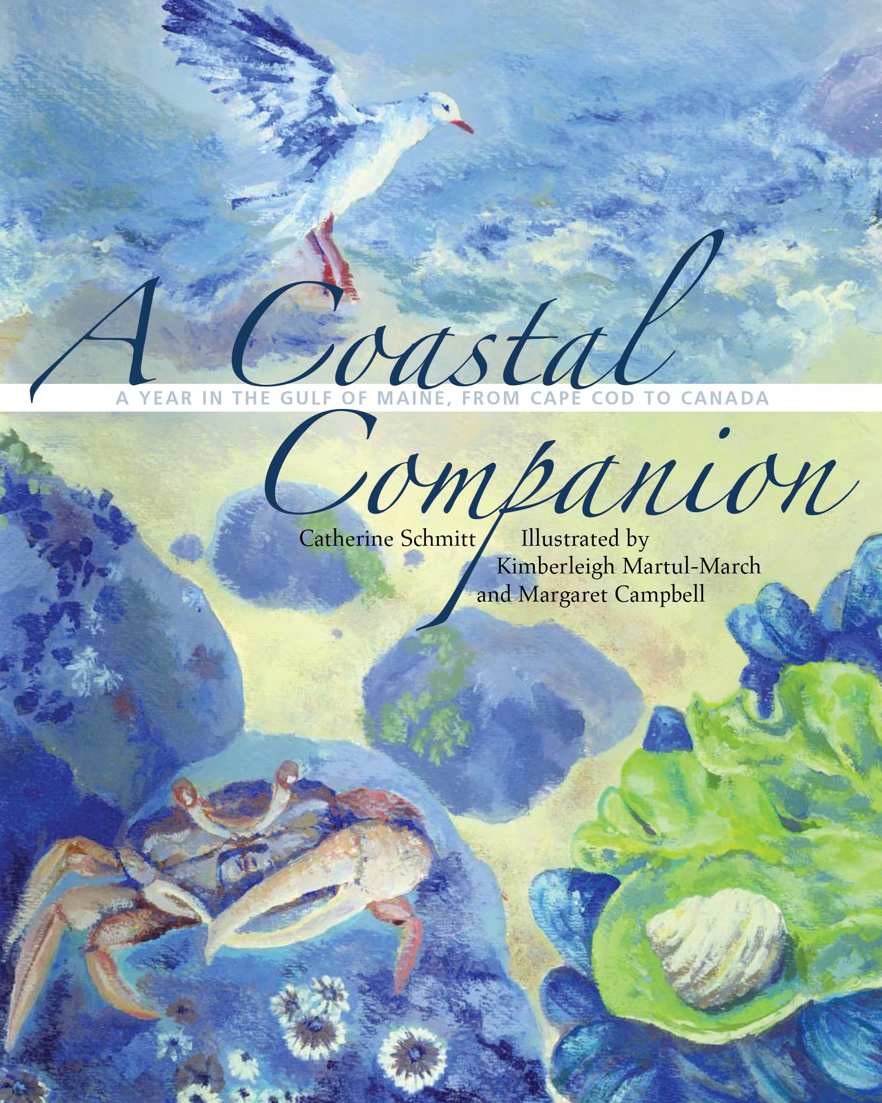 A Coastal Companion: A Year in the Gulf of Maine, from Cape Cod to Canada,Used