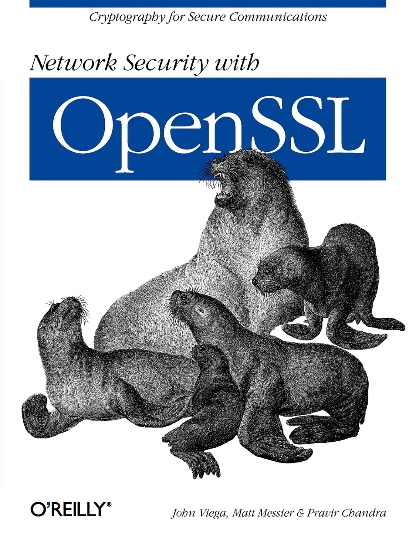 Network Security With Openssl: Cryptography For Secure Communications