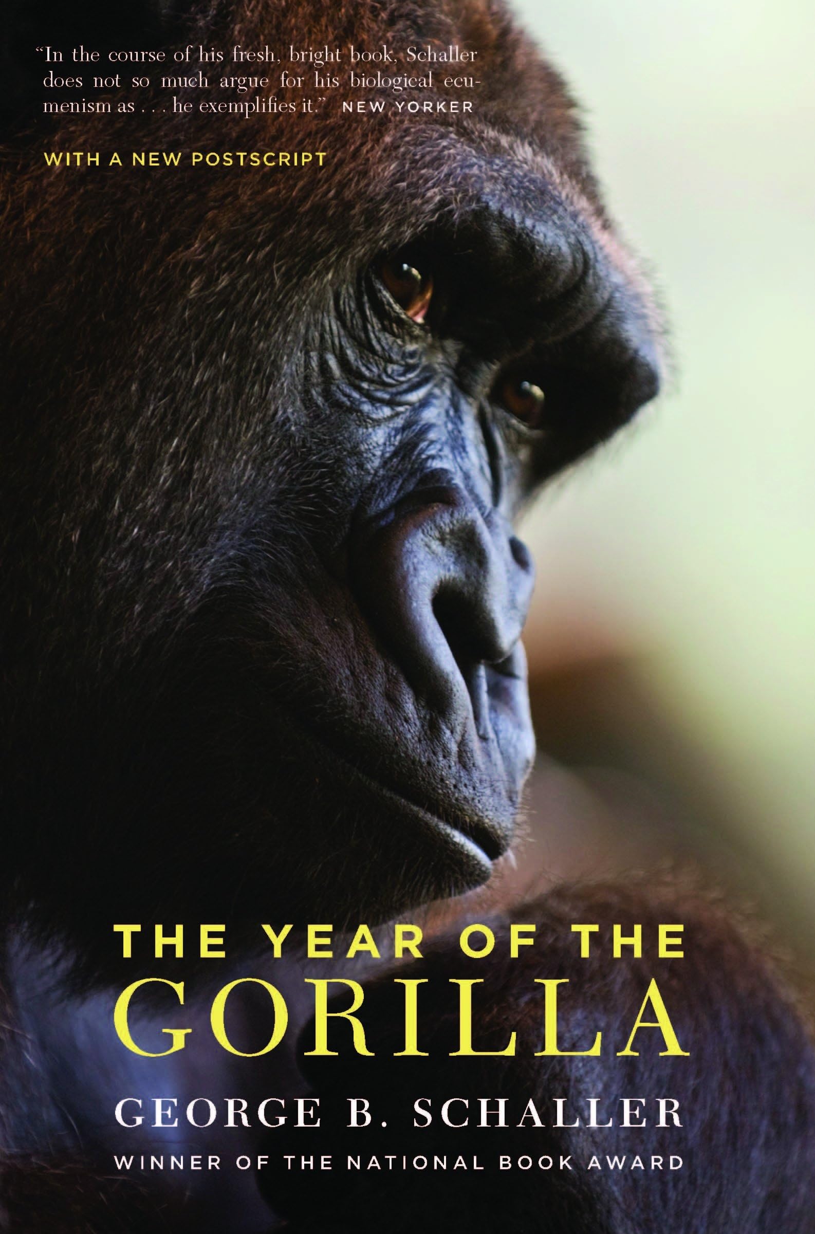 The Year Of The Gorilla,Used