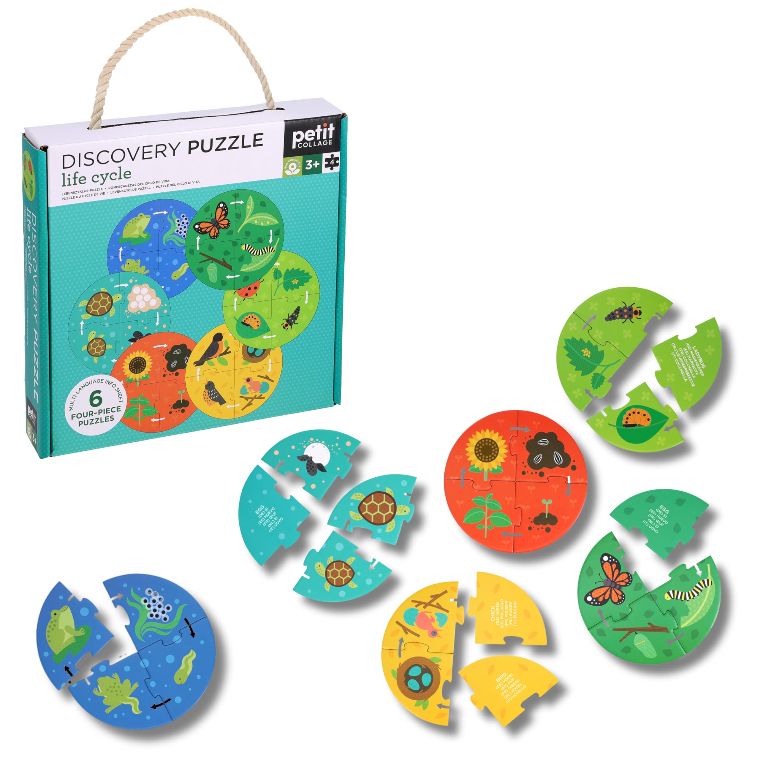 Discovery Puzzle Life Cycle
