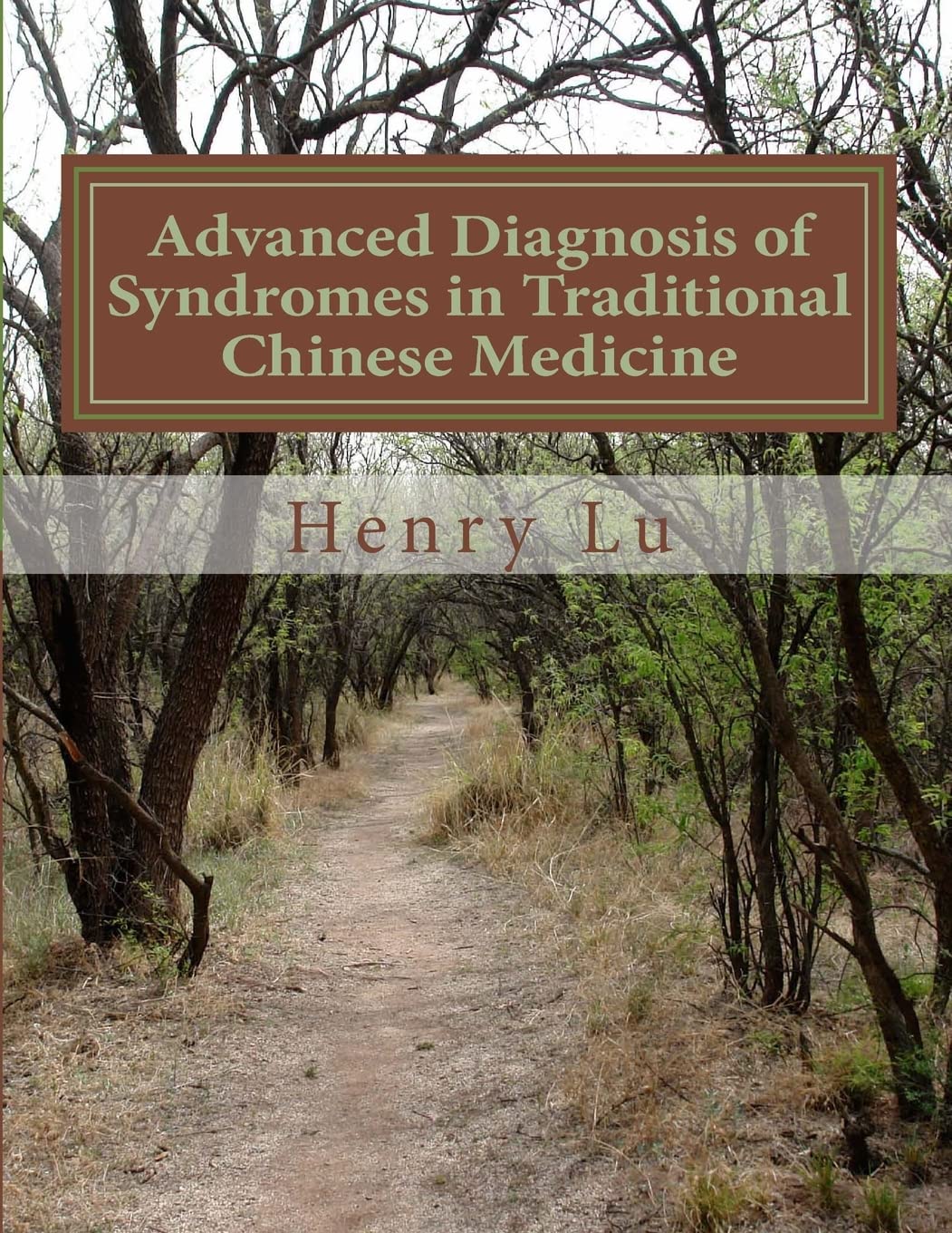 Advanced Diagnosis Of Syndromes In Traditional Chinese Medicine,Used